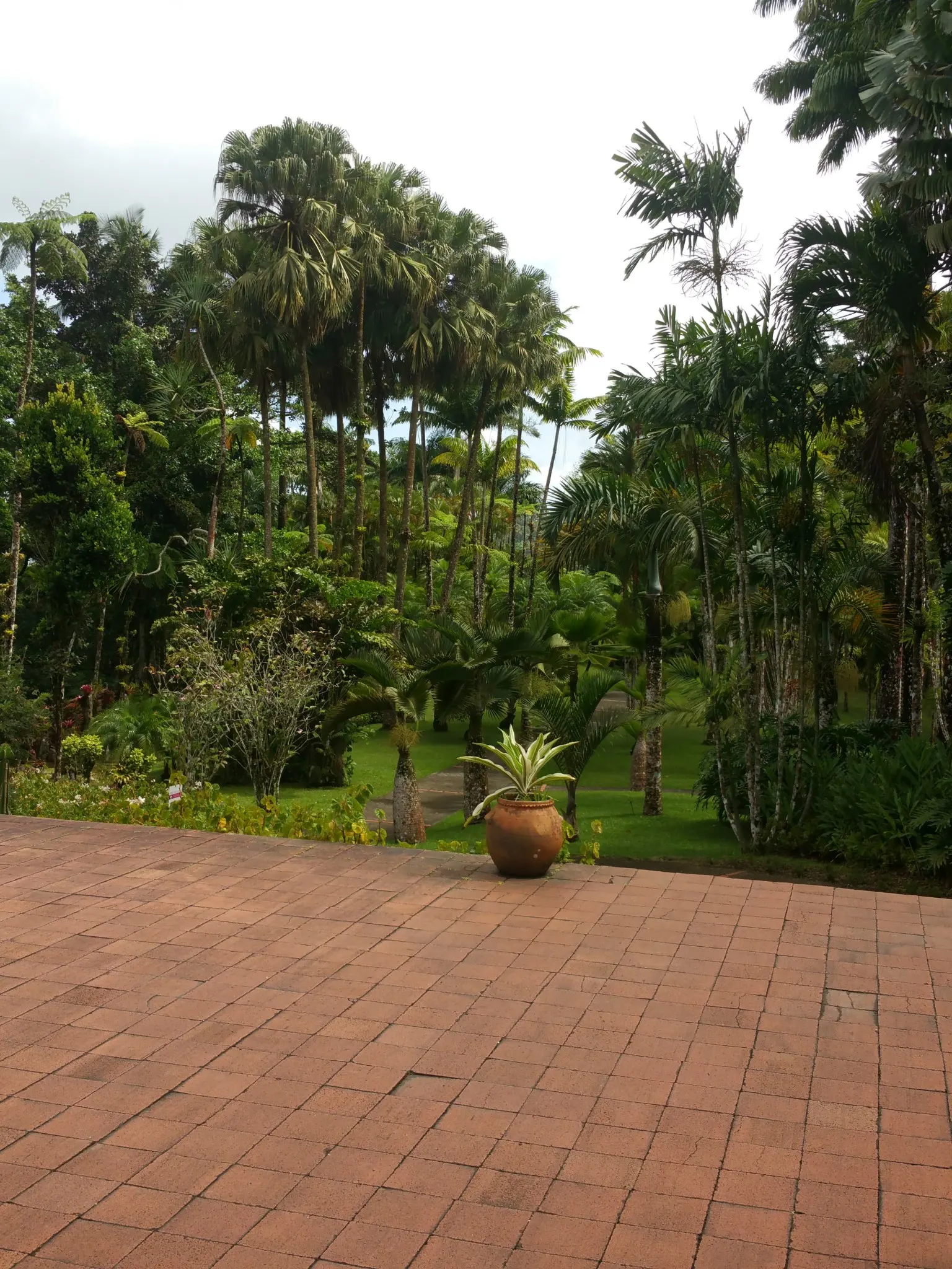 Jardin balata