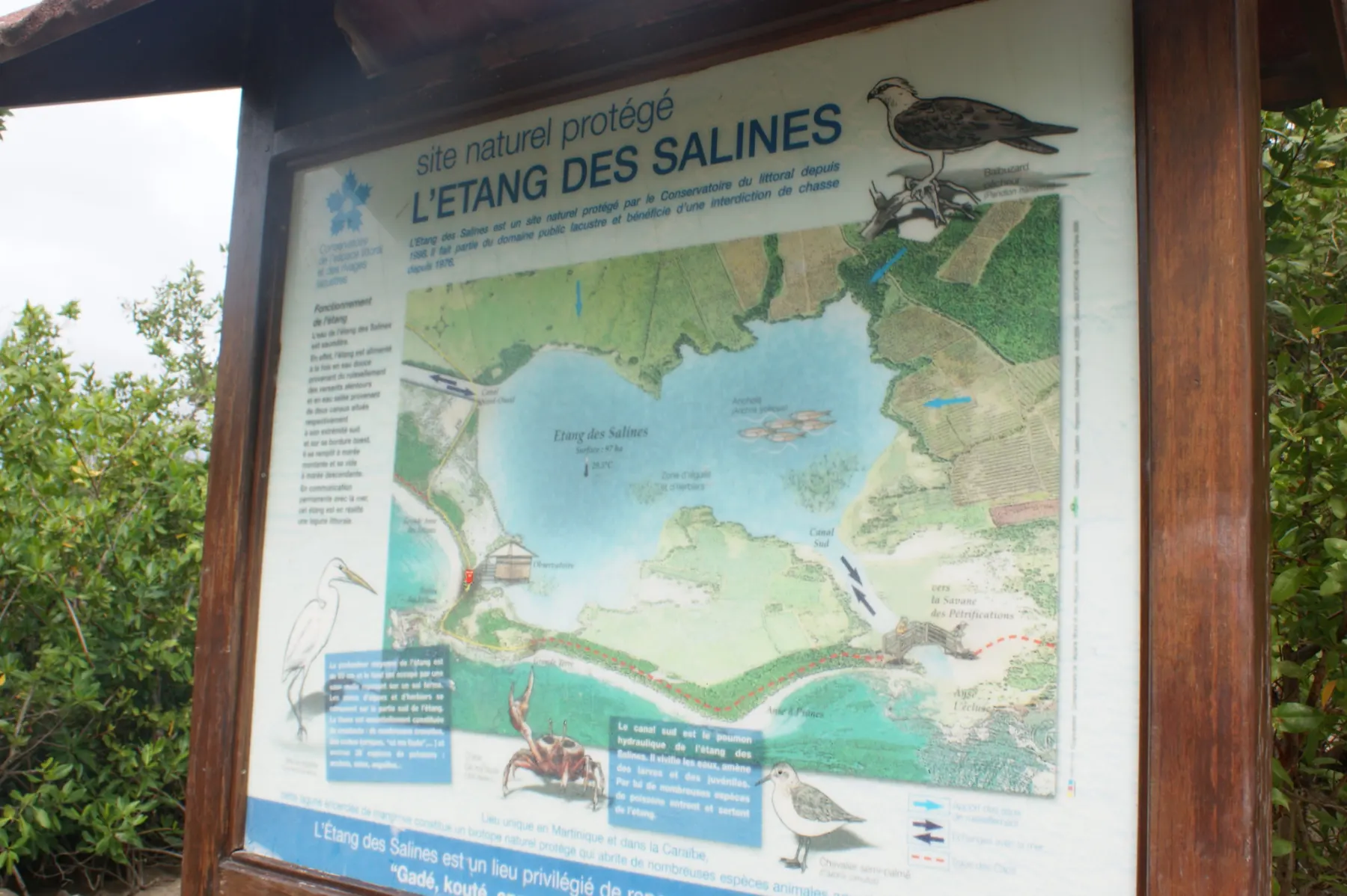 étang salines