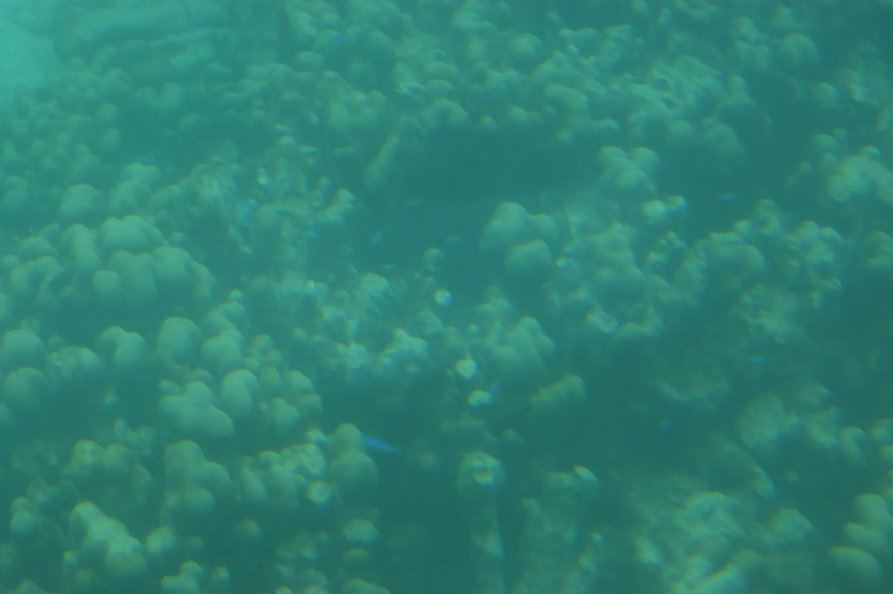 Aquabulle