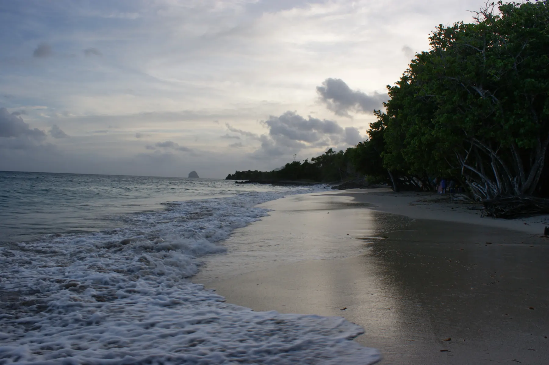 plages du sud - gros raisins