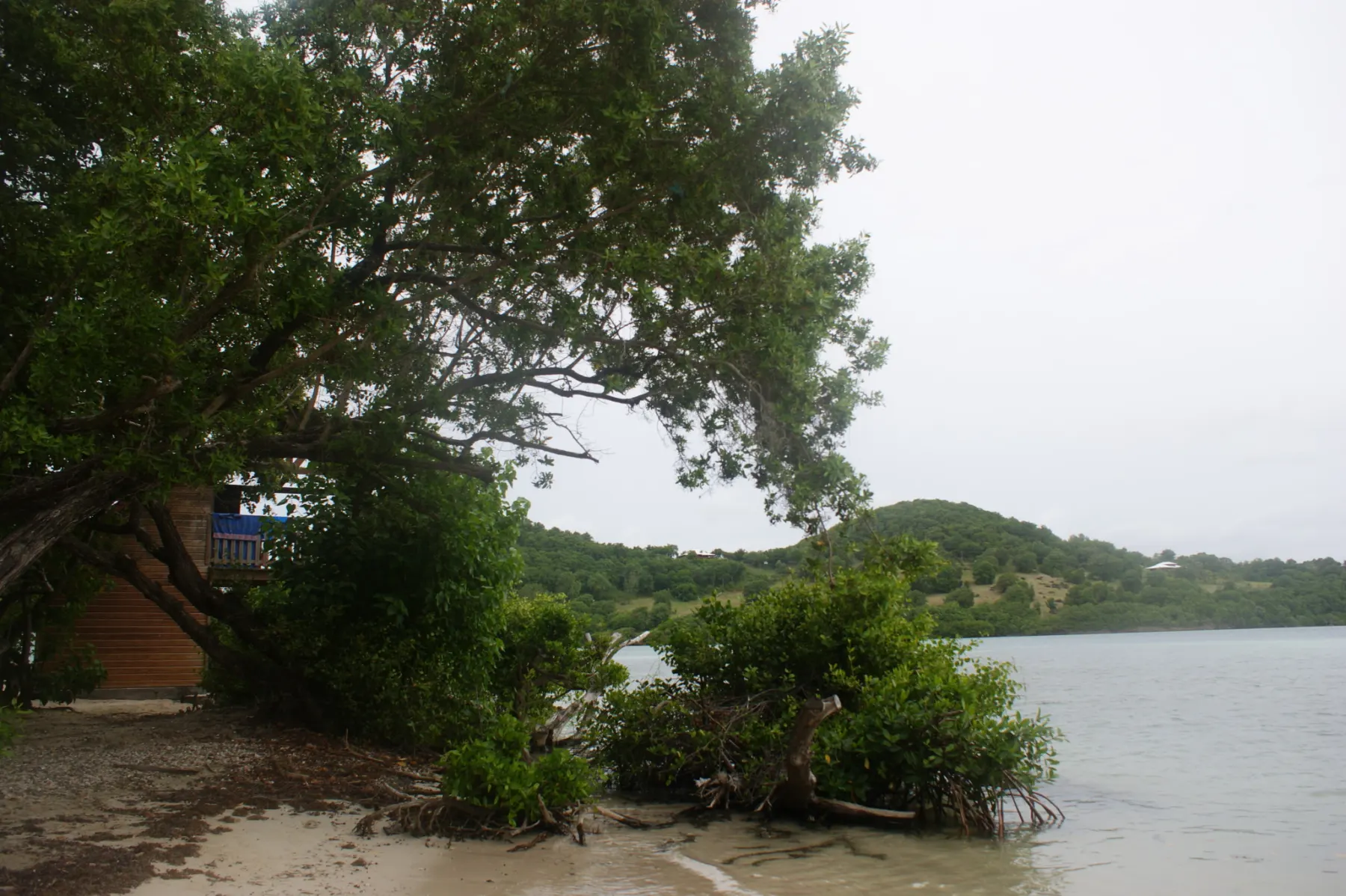 Baie du François
