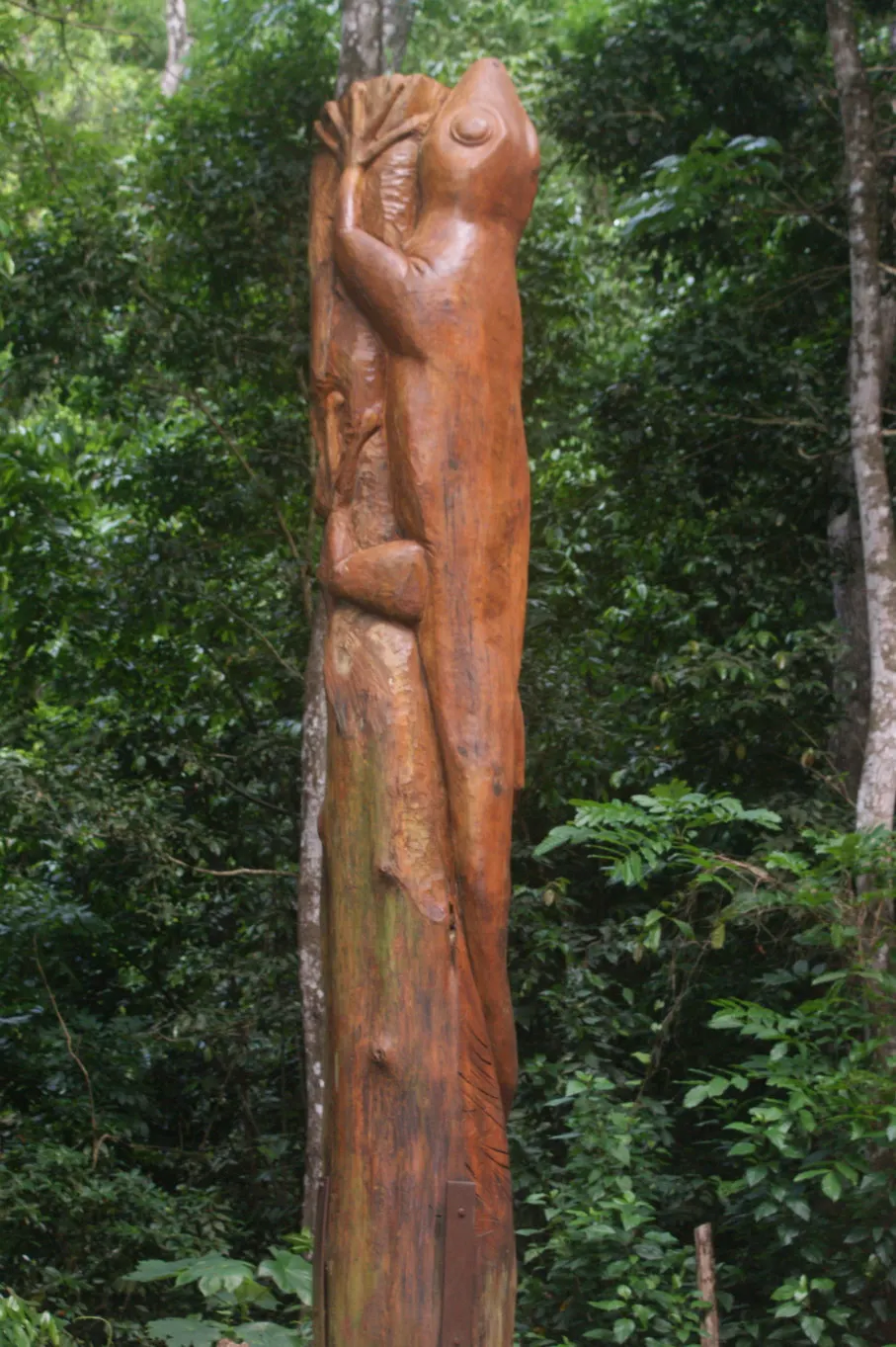 forêt montravail