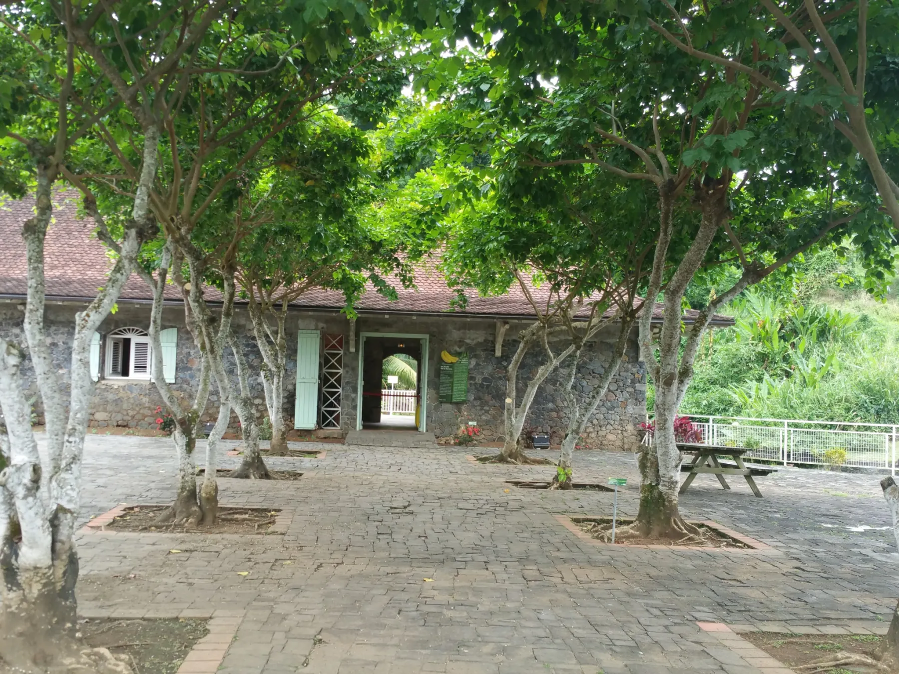 Musée banane