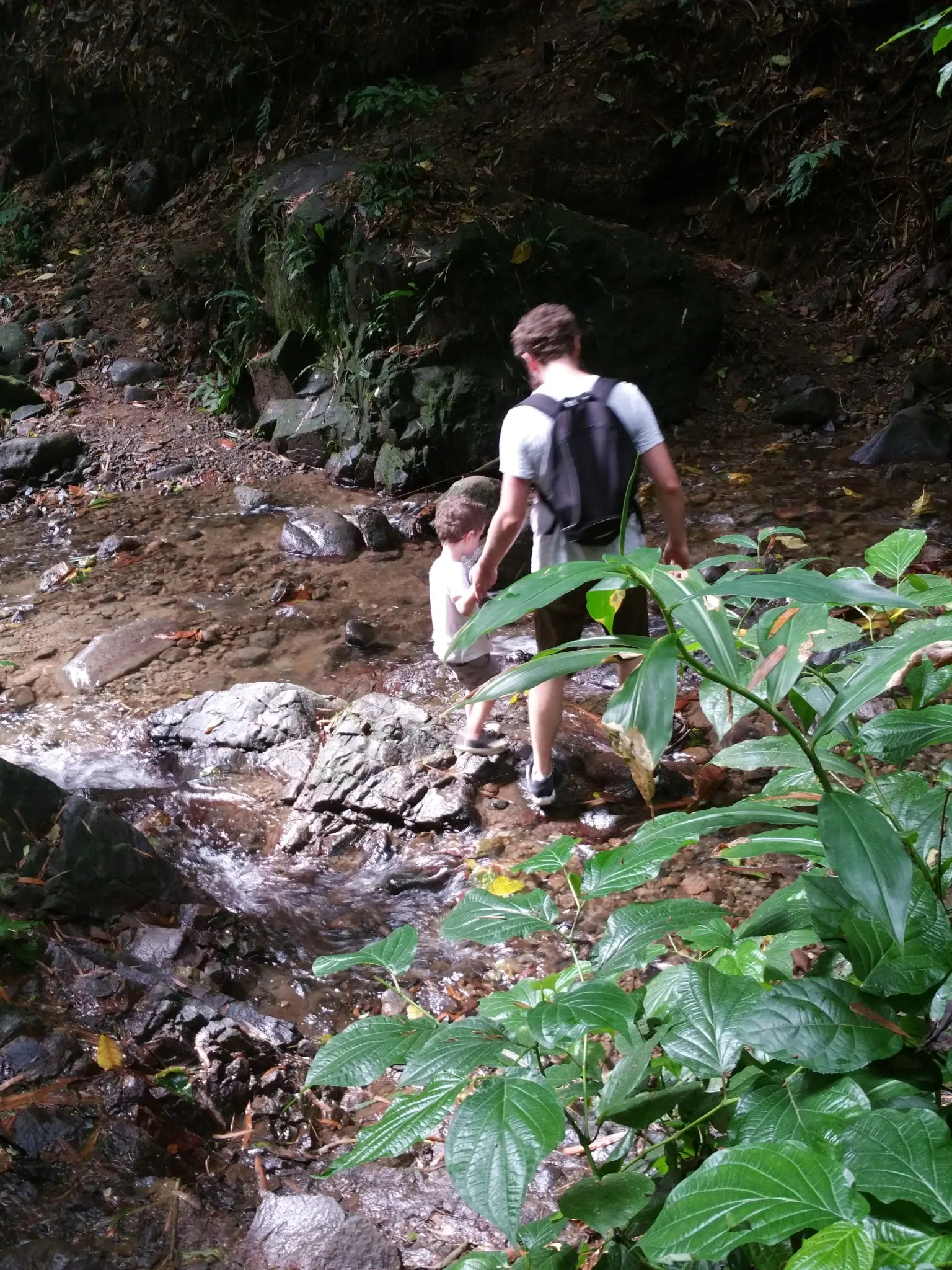 cascade couleuvre