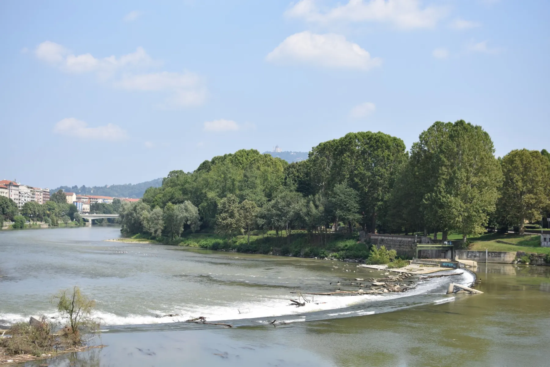 Turin