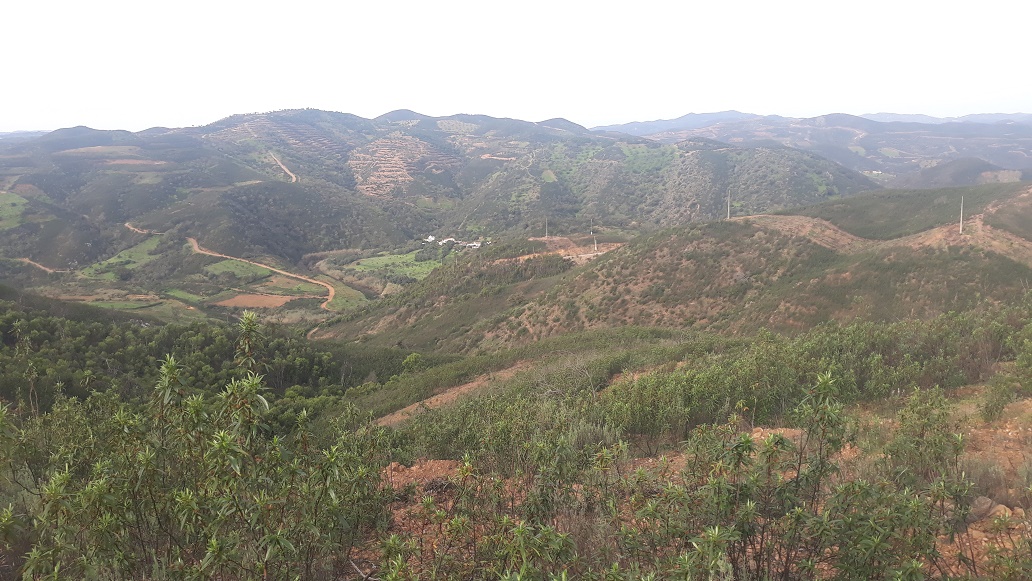 Paysage