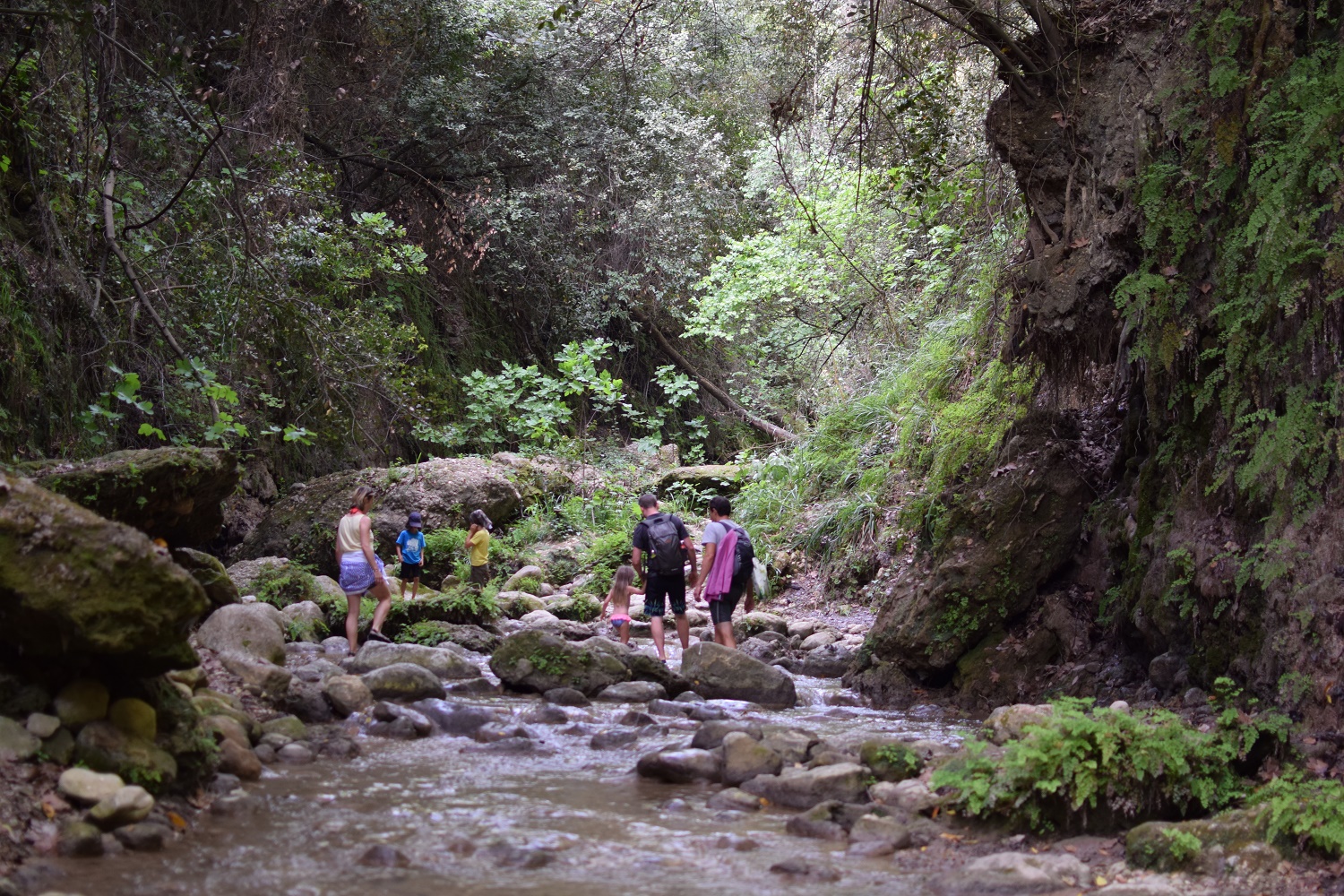 nature cascade