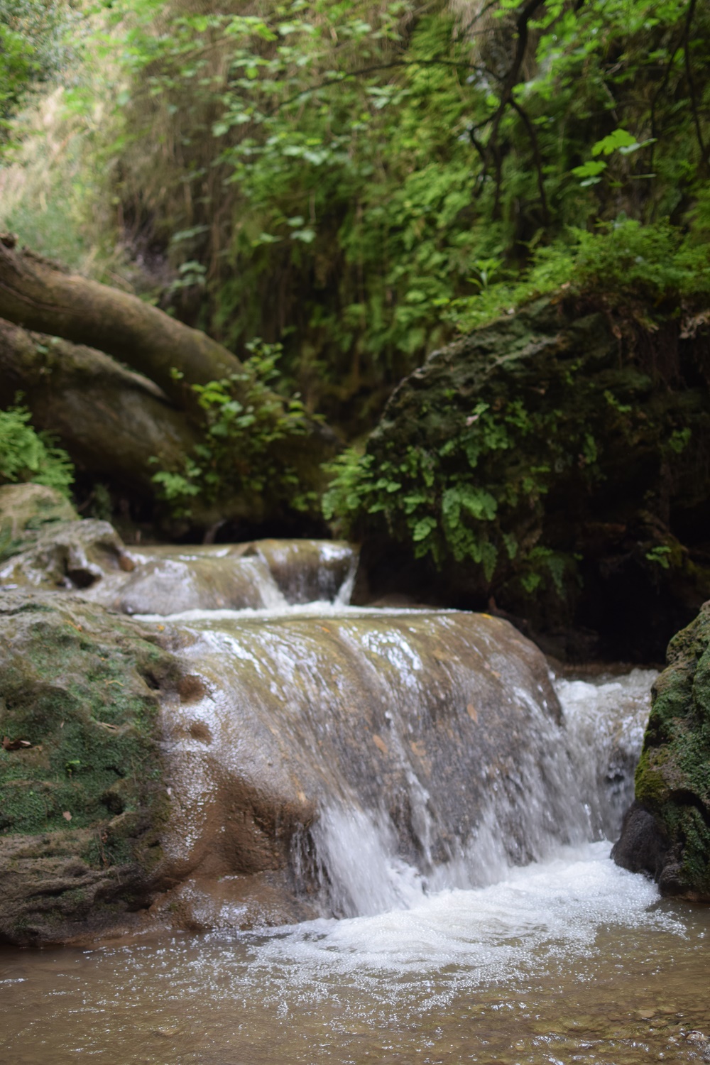 nature cascade