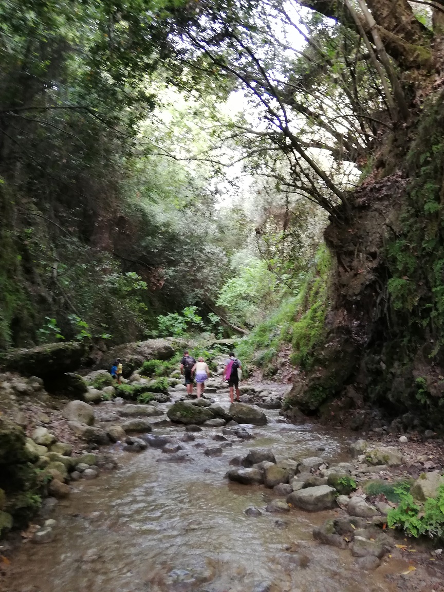 nature cascade