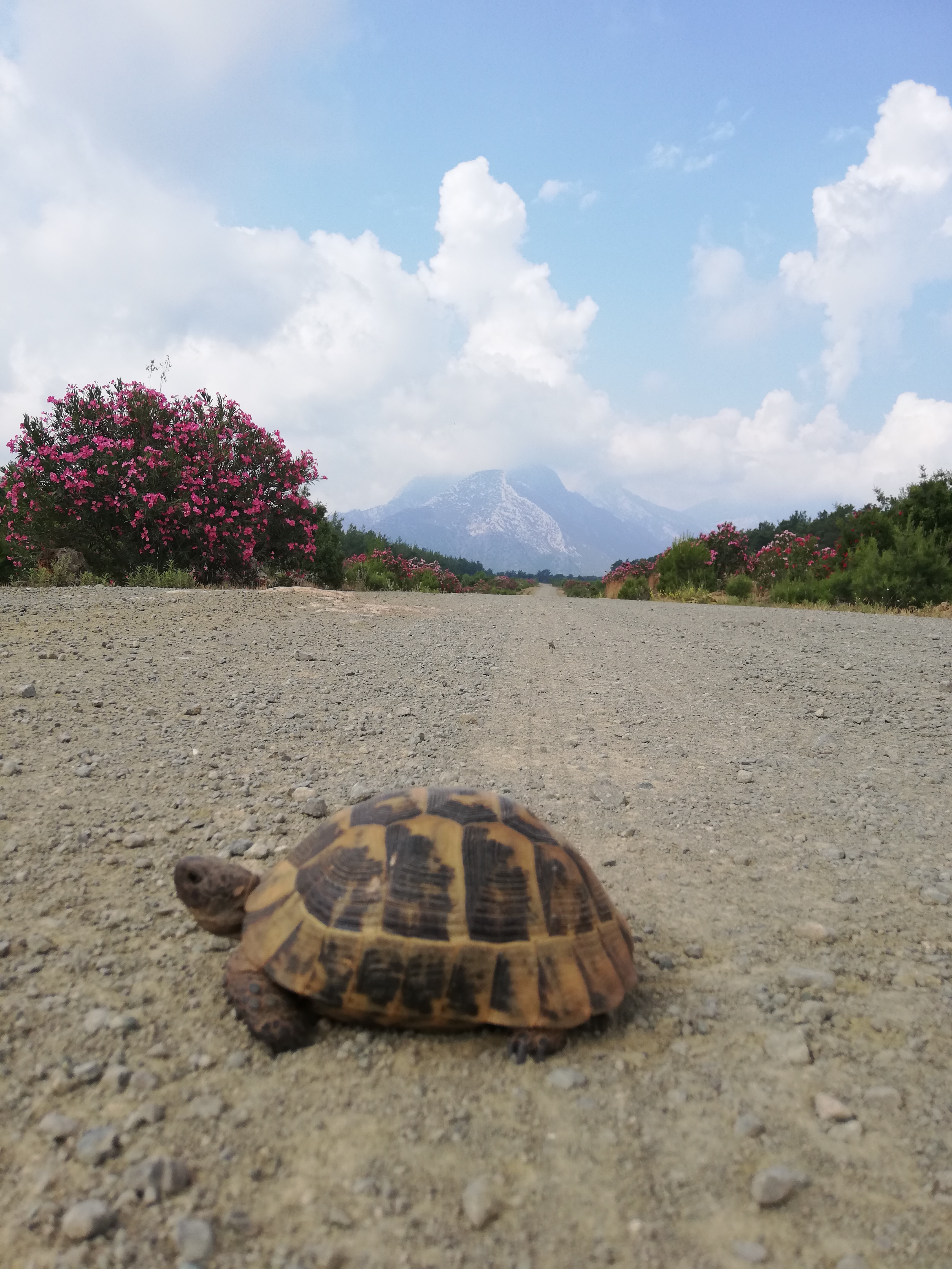 Antalya