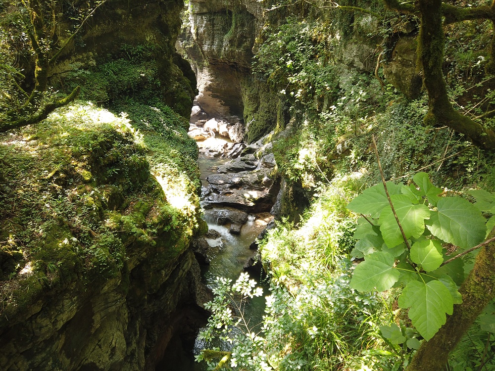 Géorgie