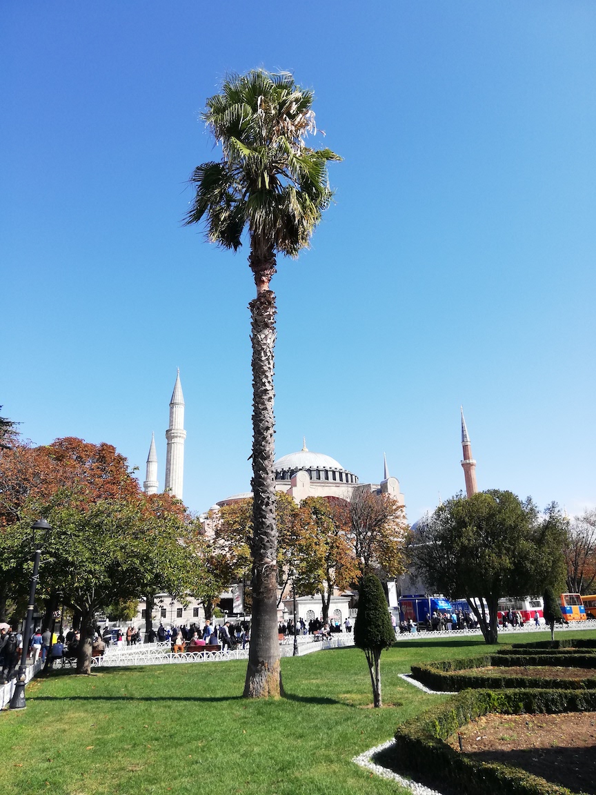 Saint-Sophie - Istanbul