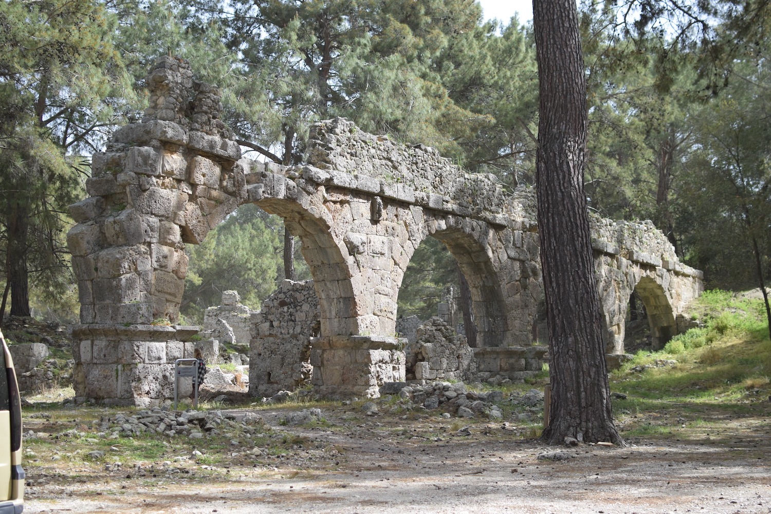 Visites Phasélis