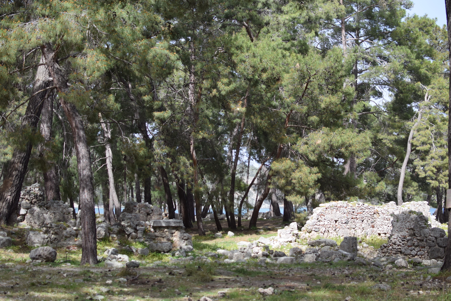 Visites Phasélis