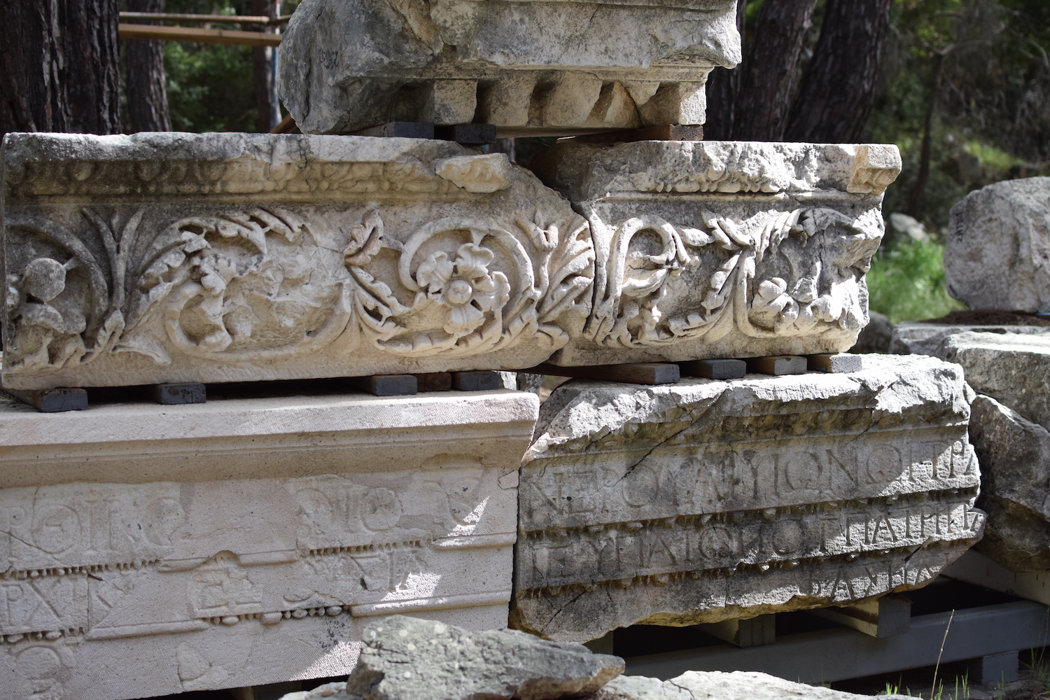 Visites Phasélis