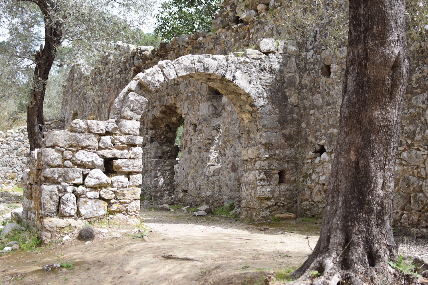 visites Olympos