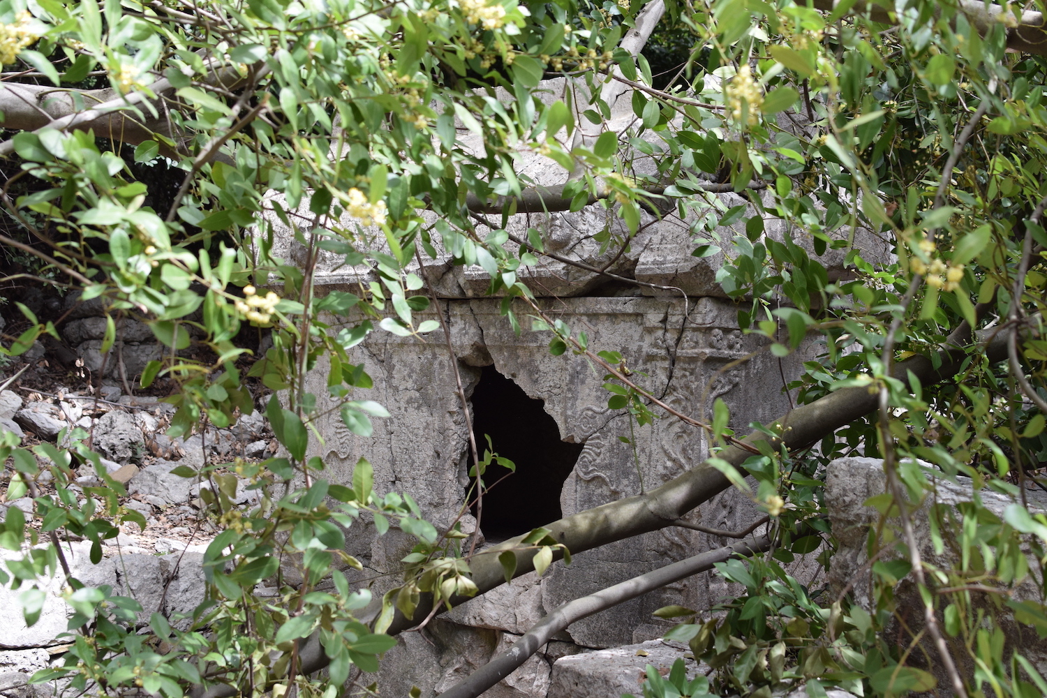 visites Olympos