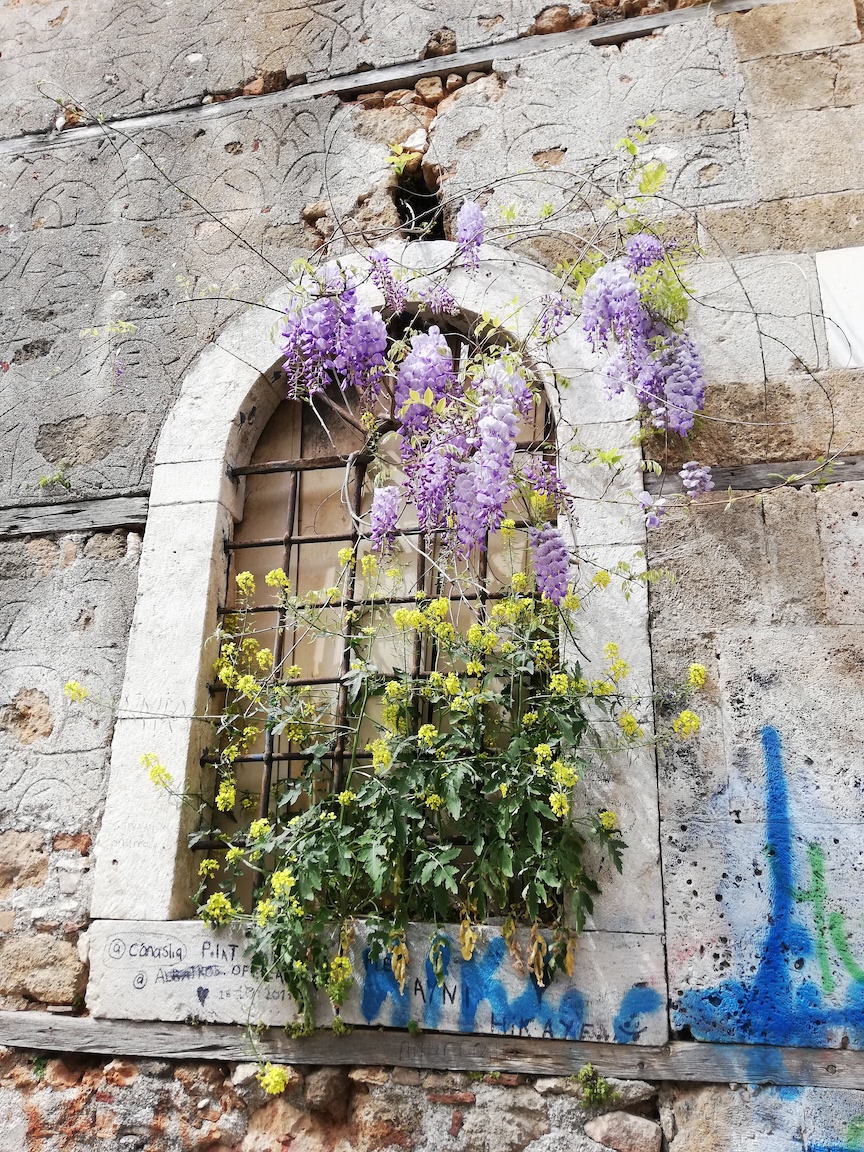 Visites Antalya