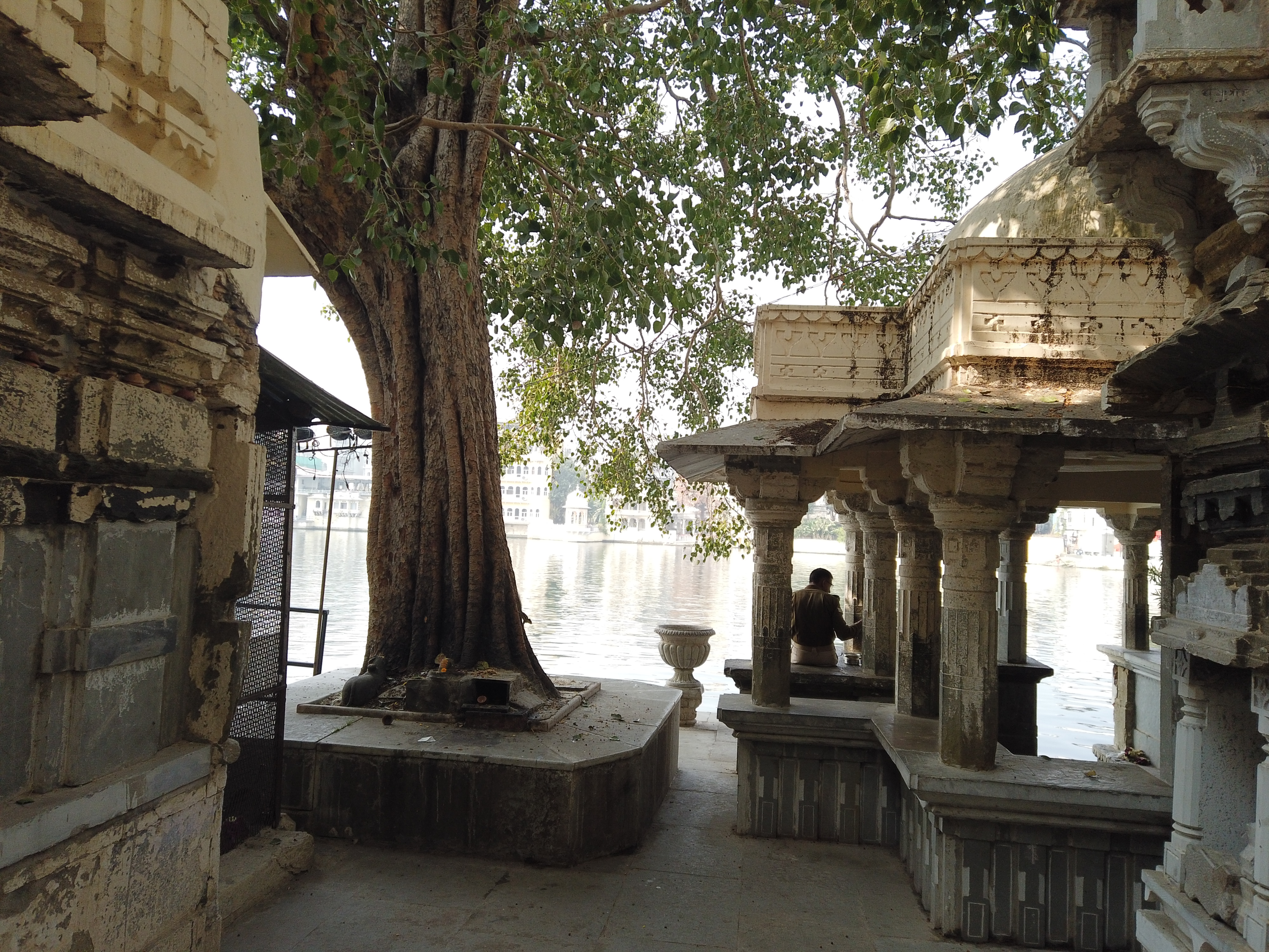 udaipur