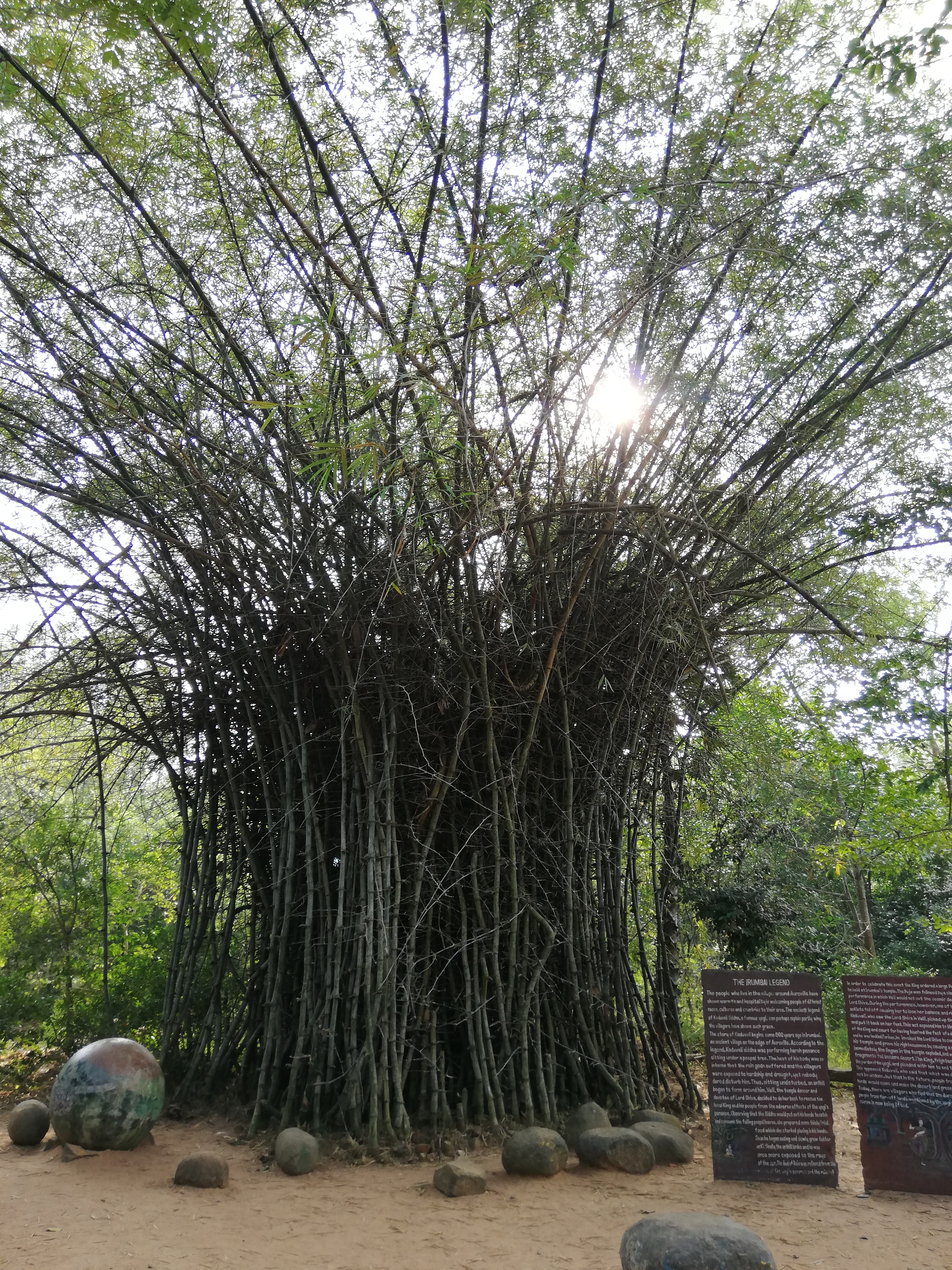 Auroville