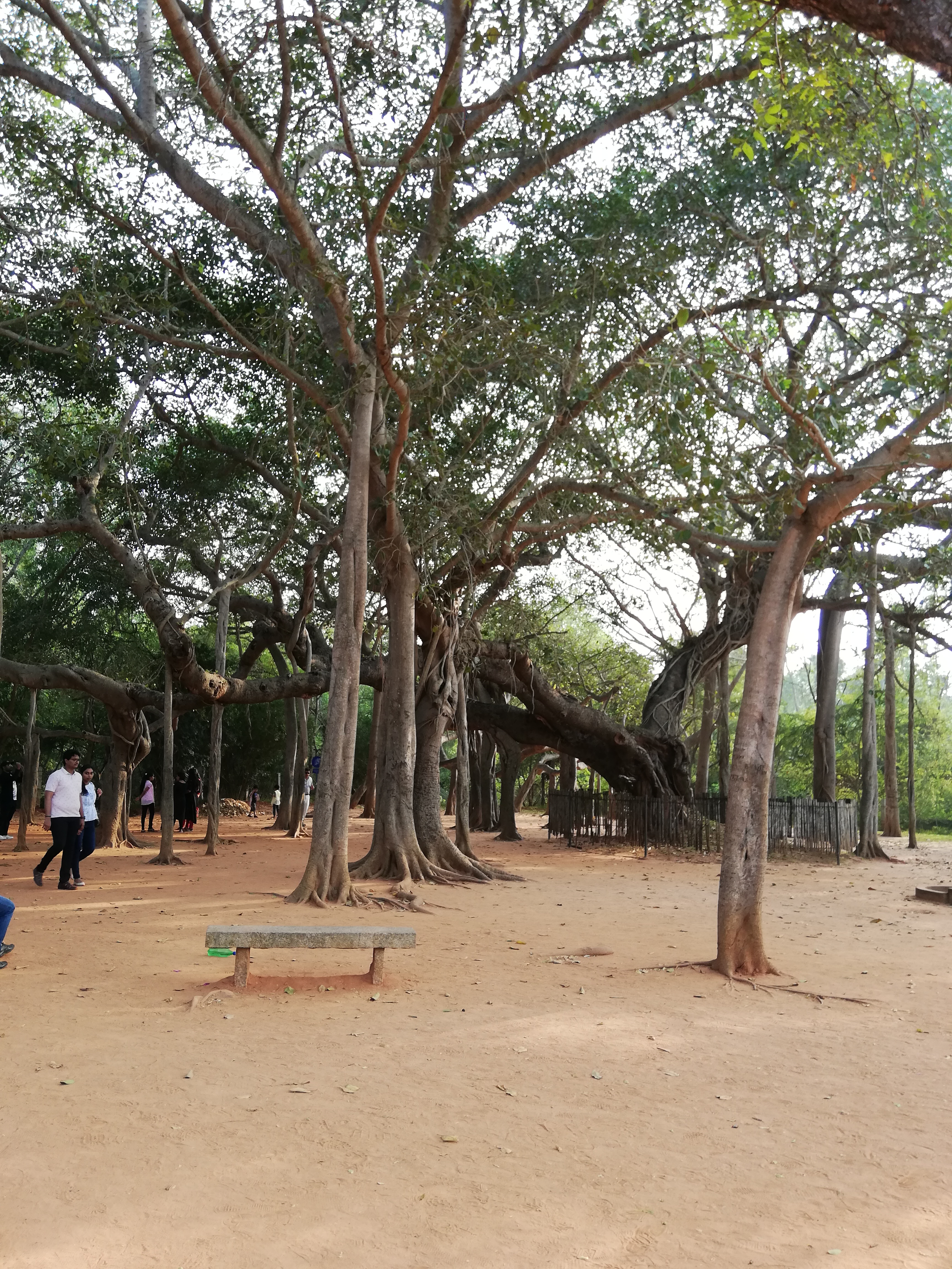 Auroville