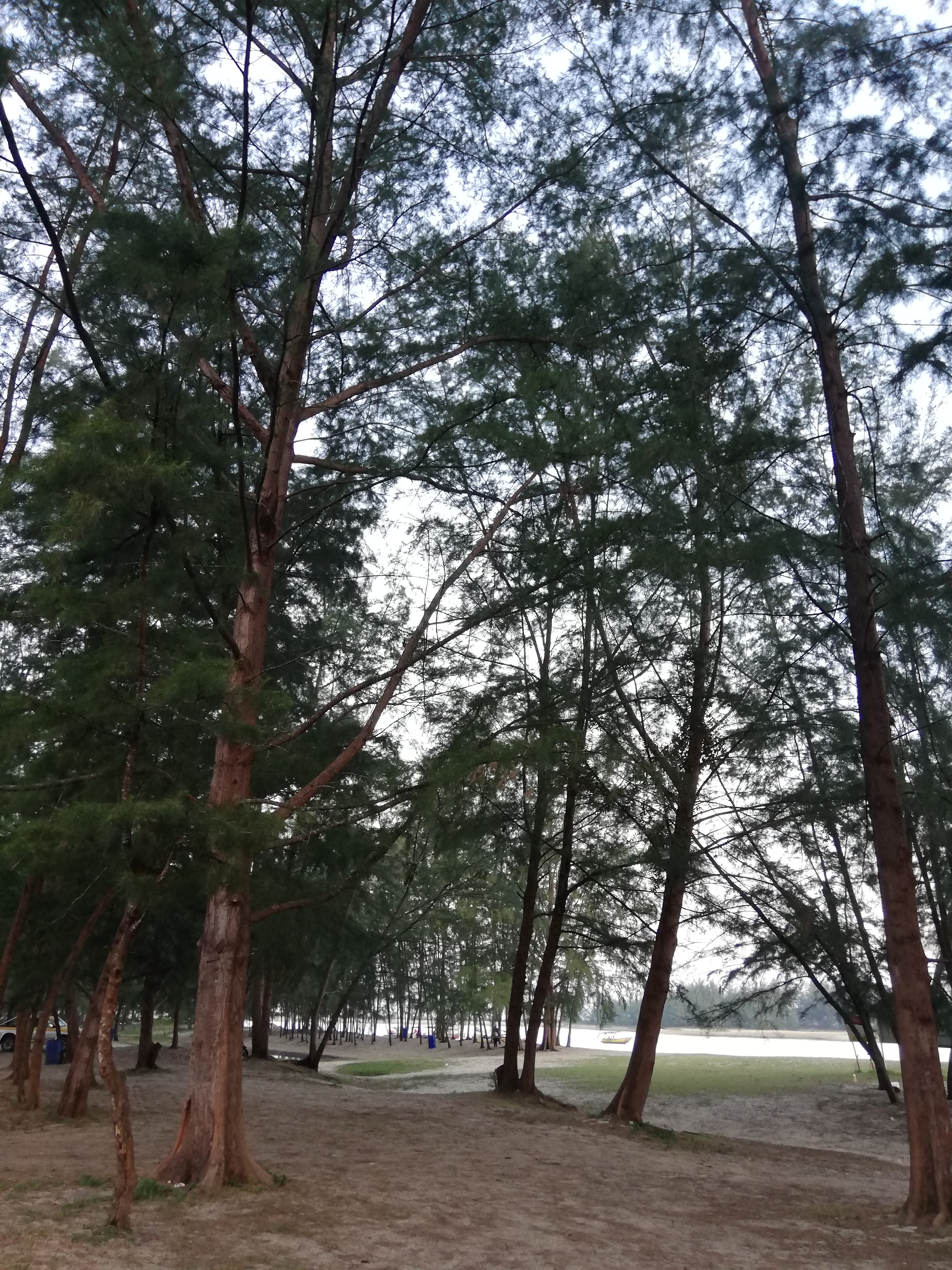 Cherating