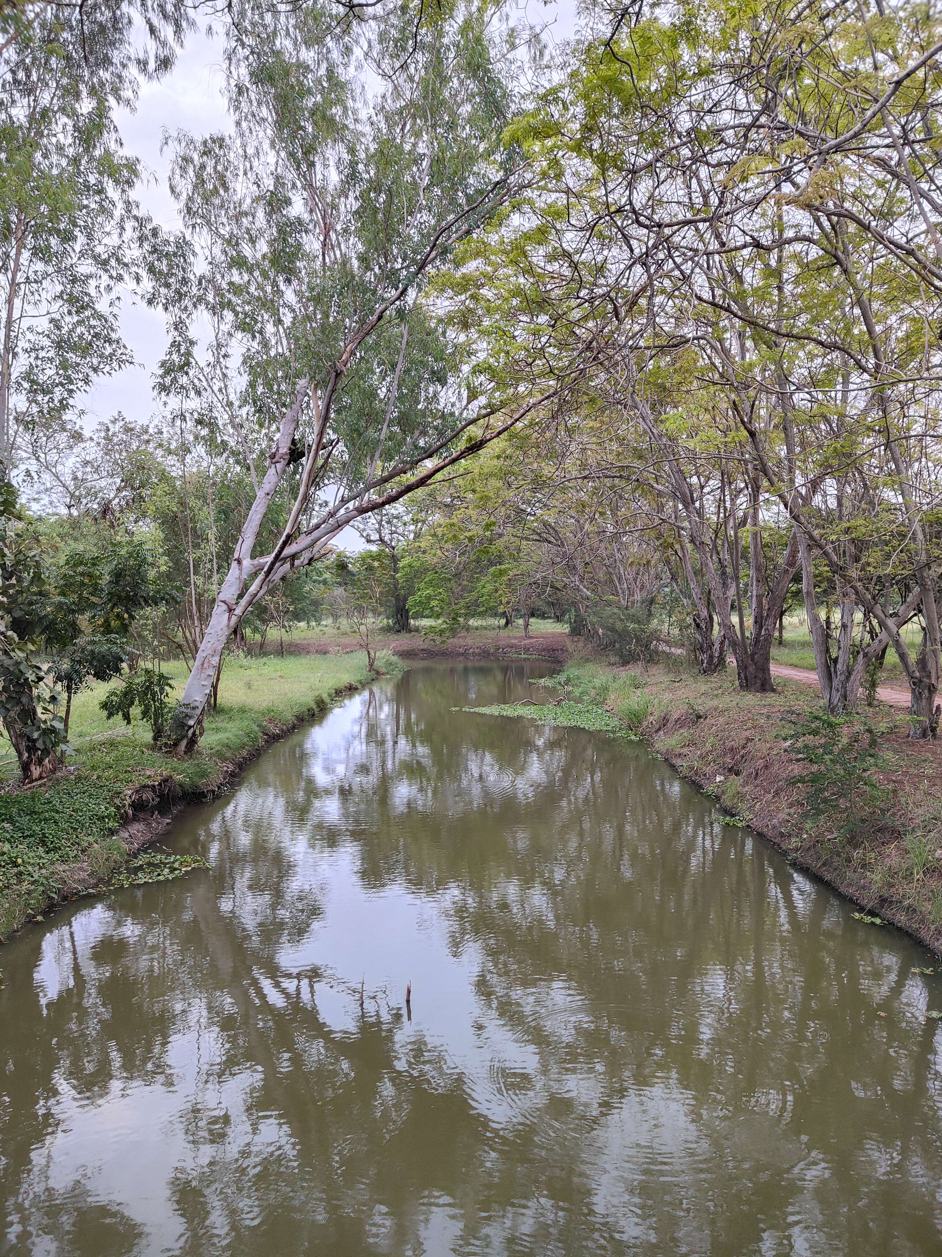 Ayutthaya