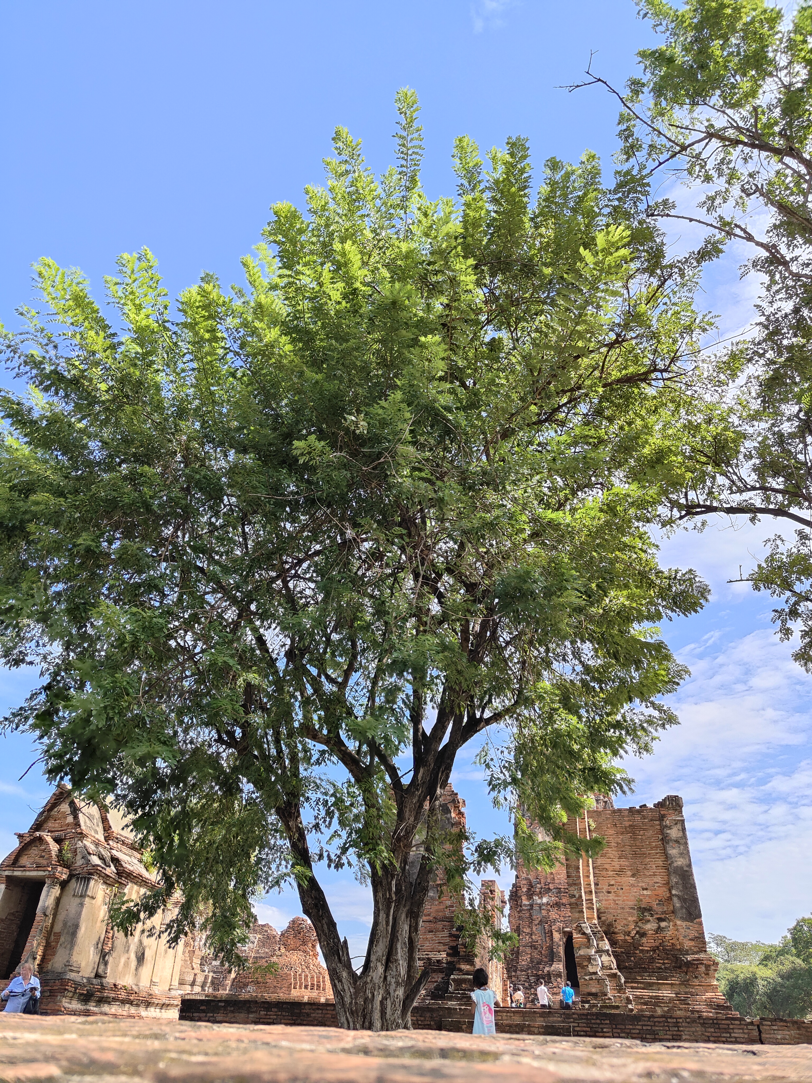 Wat Mahathat