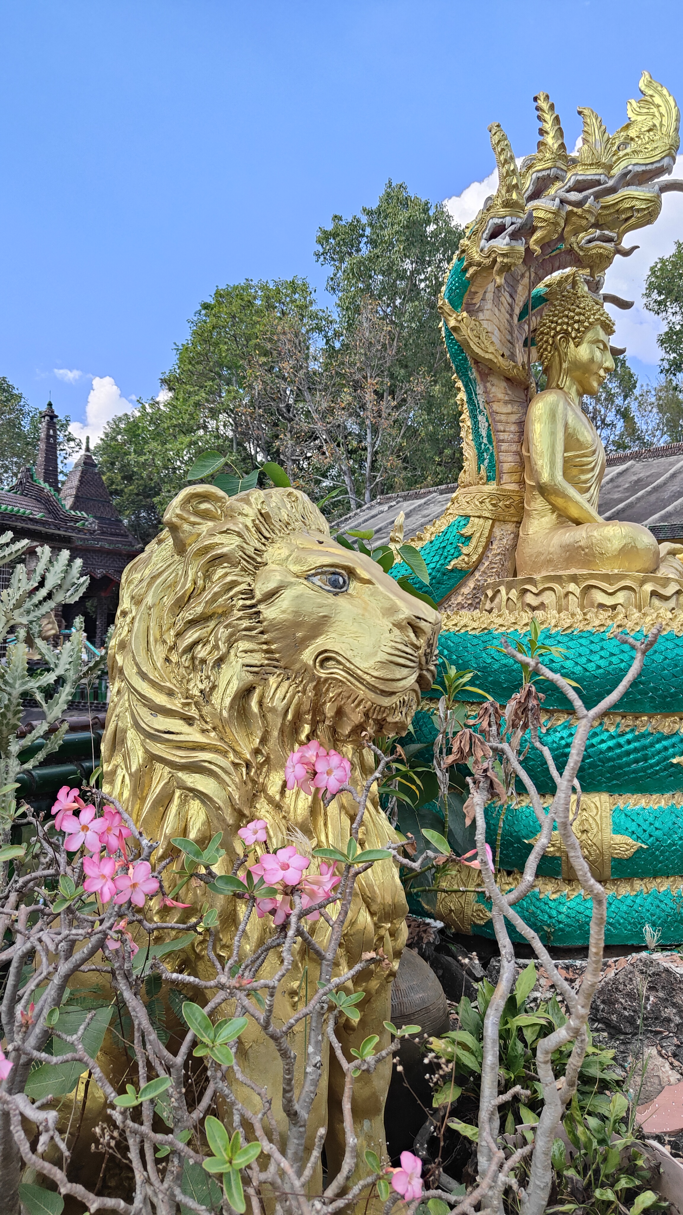 temple bouteilles Wat Lan Khuad