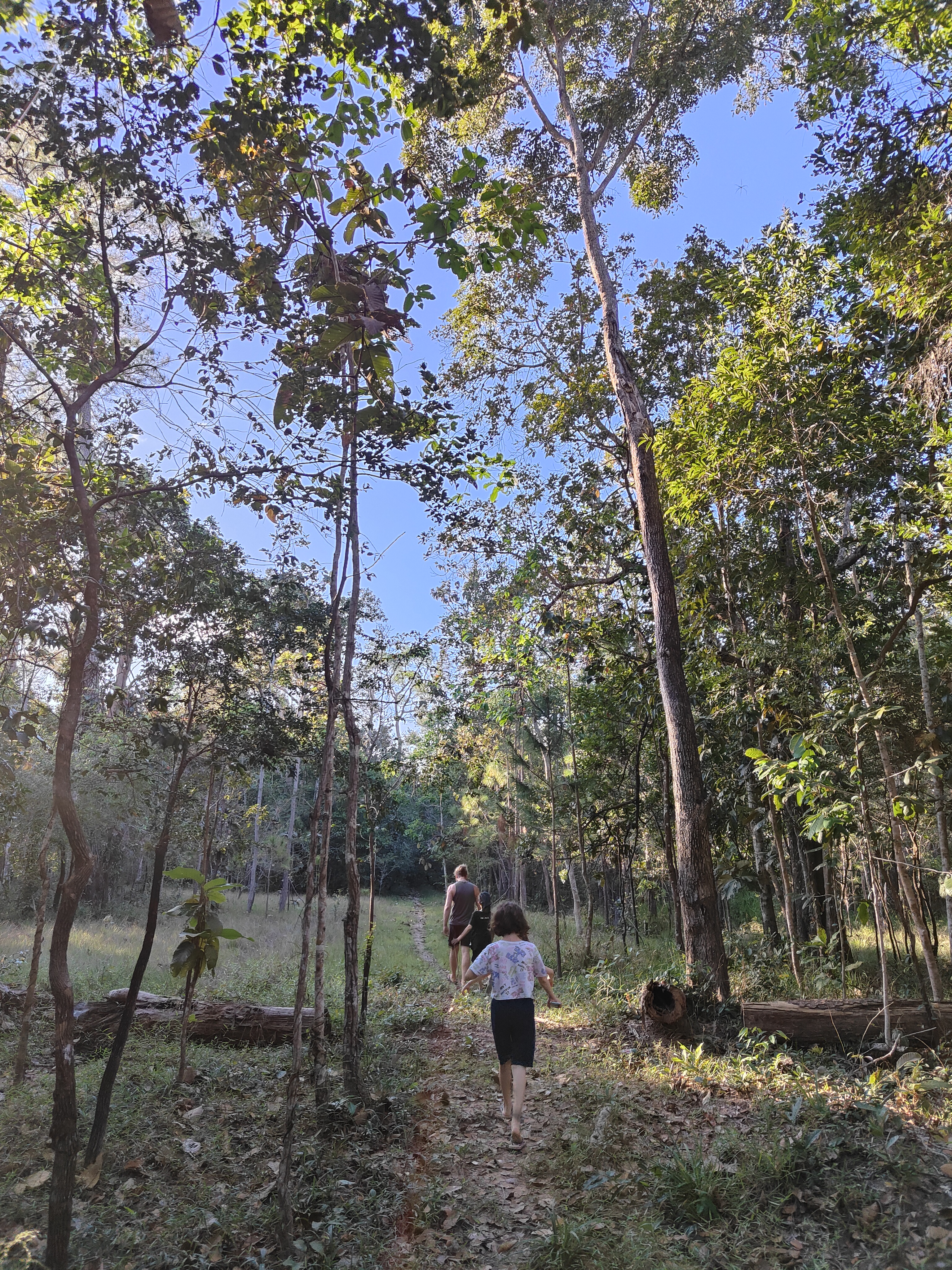 Pa Son Nong Khu Forest Park