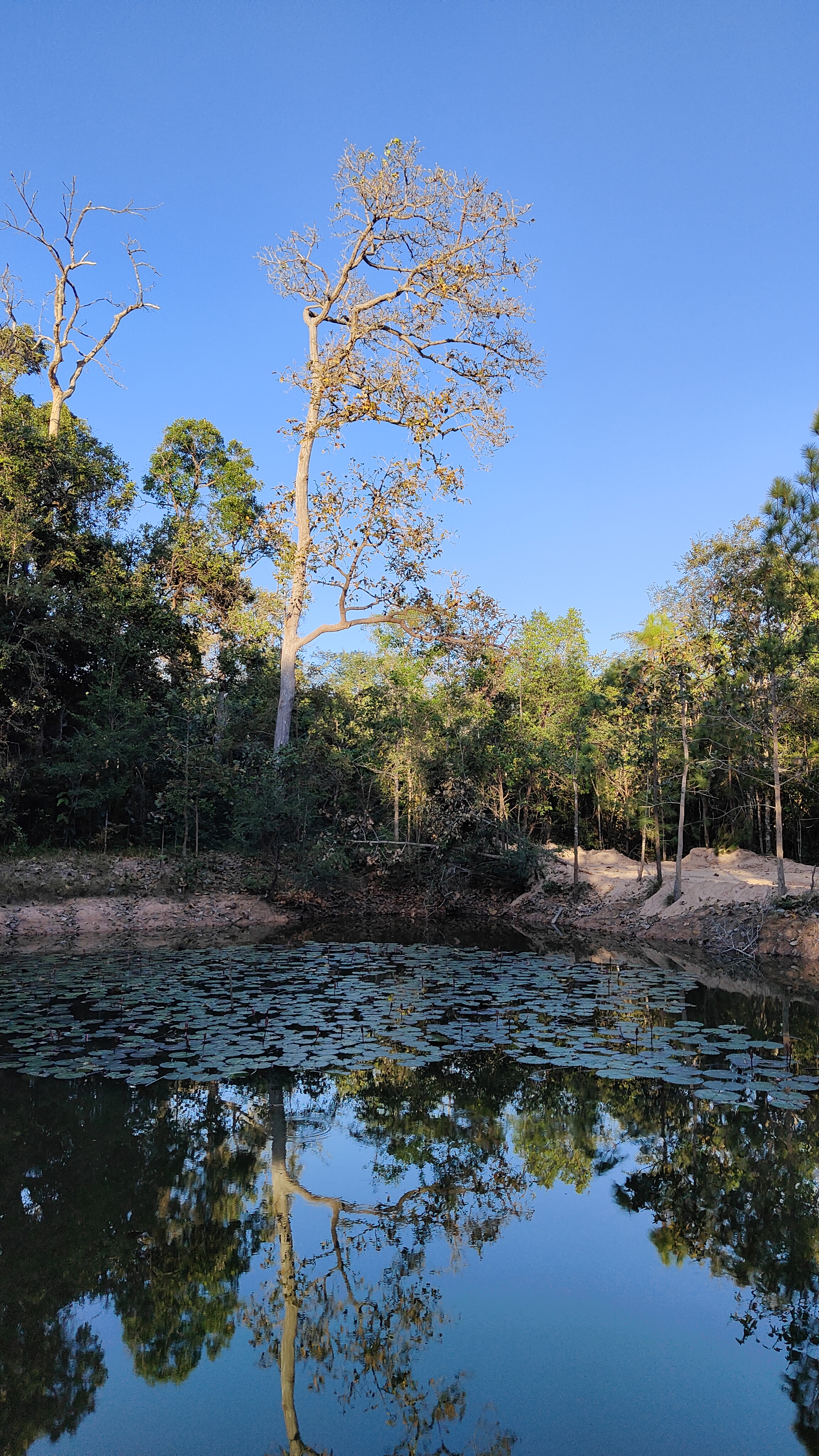 Pa Son Nong Khu Forest Park