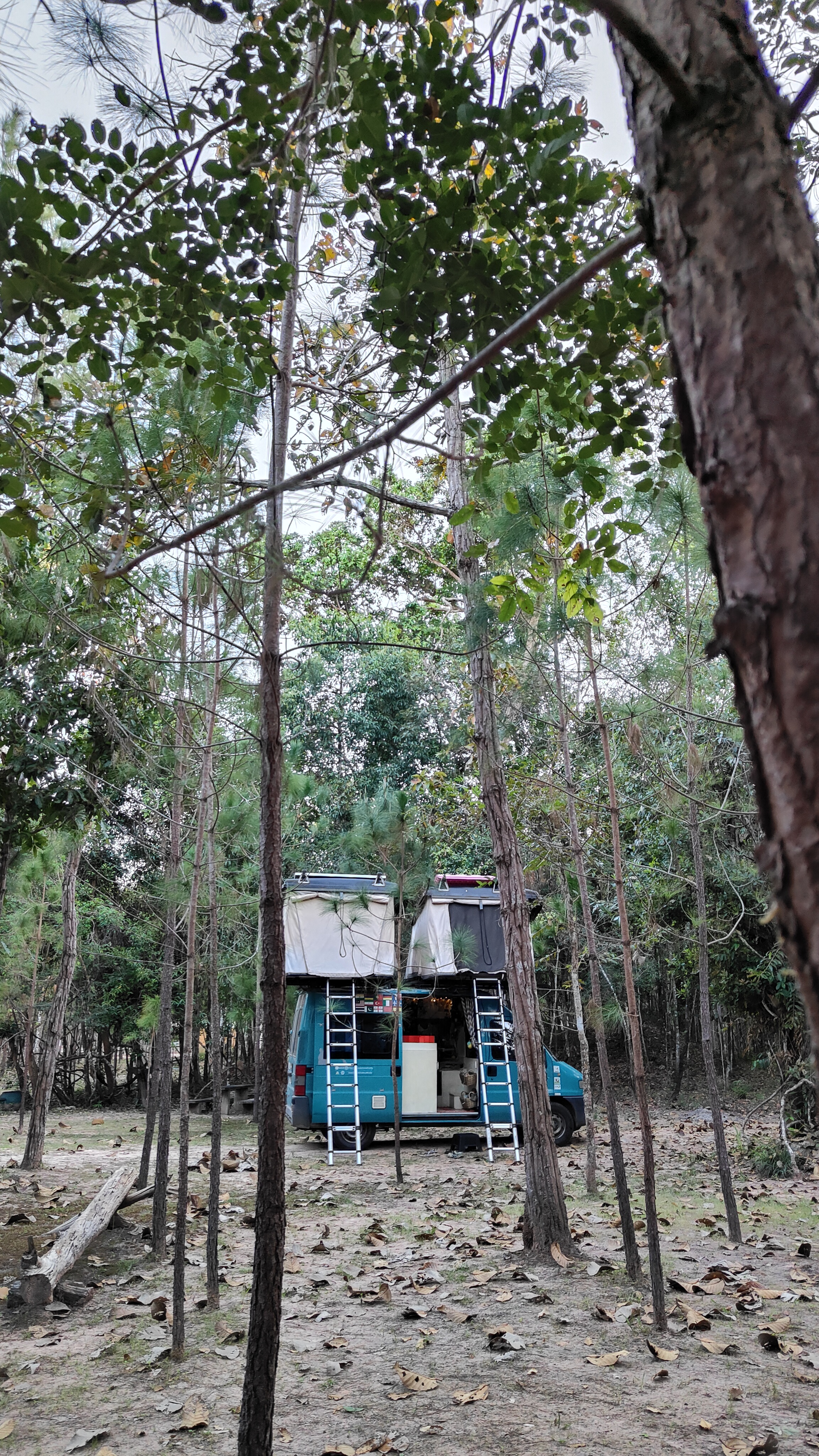 Pa Son Nong Khu Forest Park
