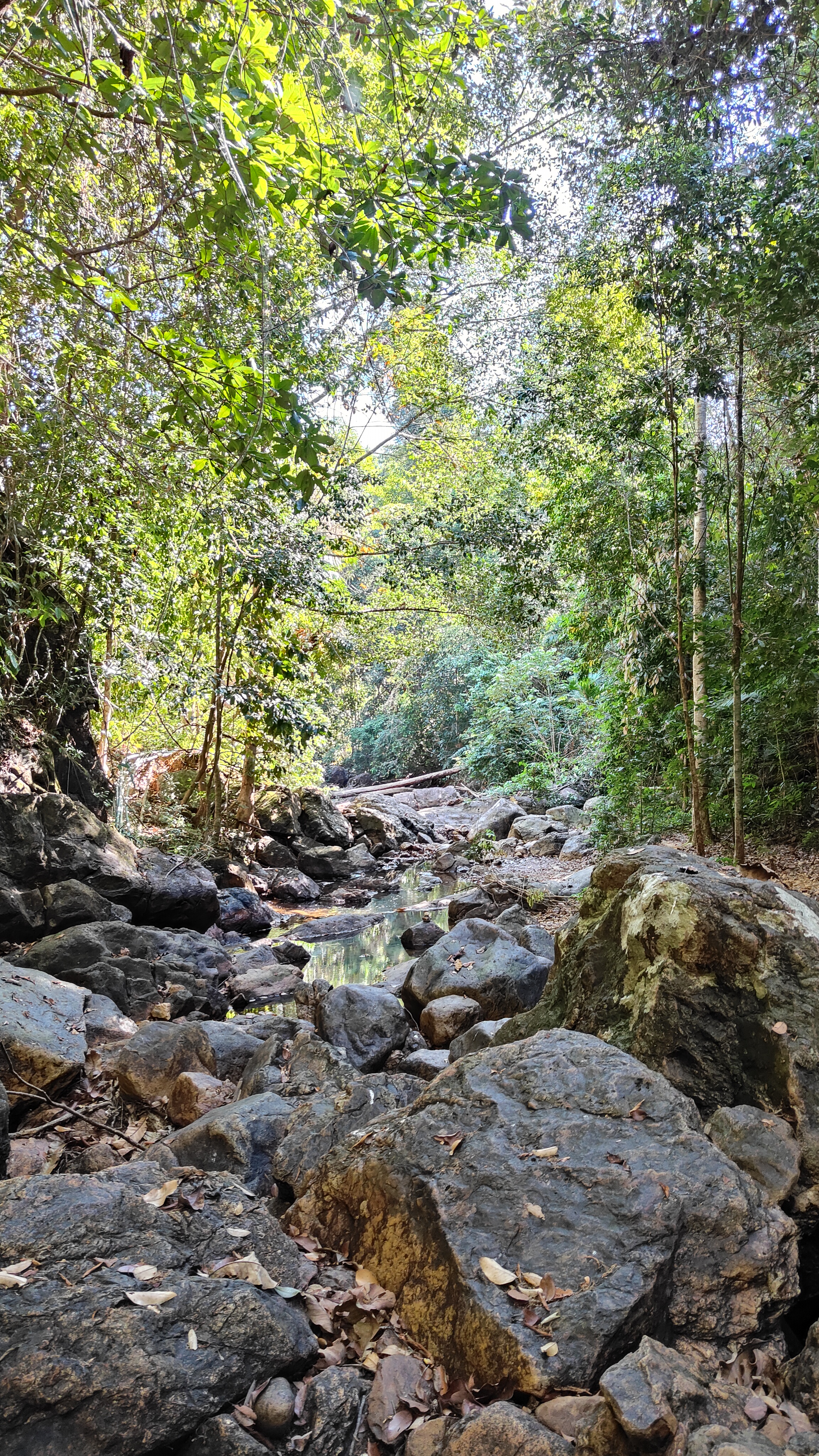 cascade Khlong Nonsi