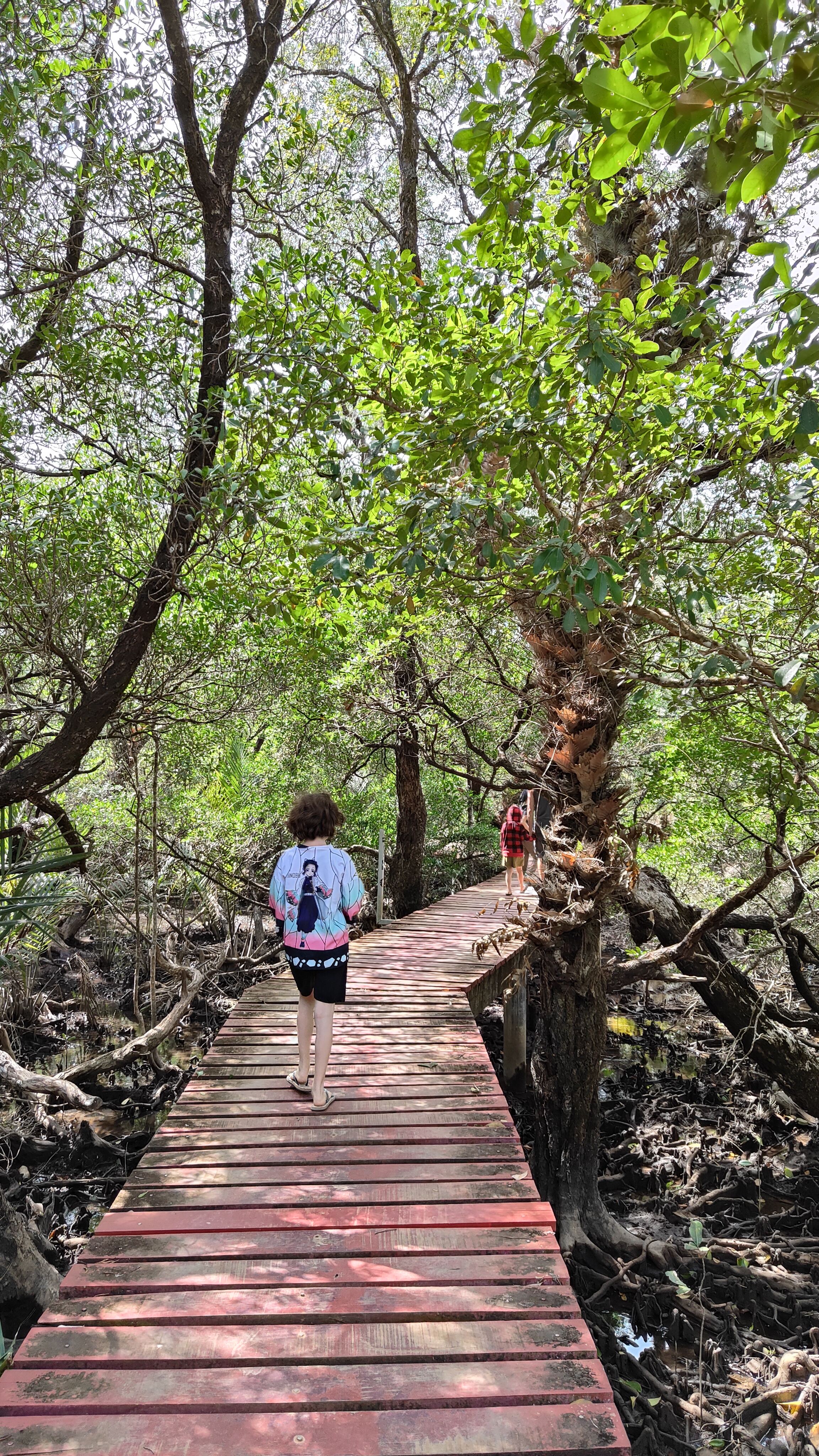forêt de mangrove Baan Na Nai