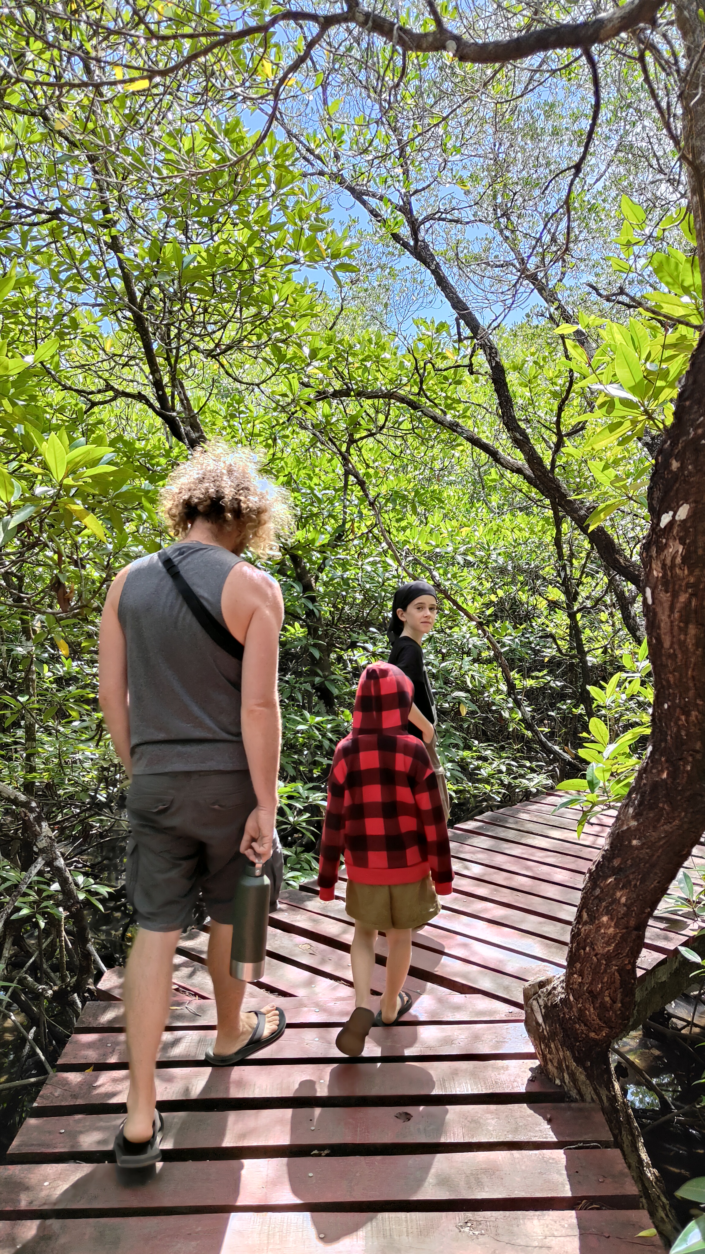 forêt de mangrove Baan Na Nai