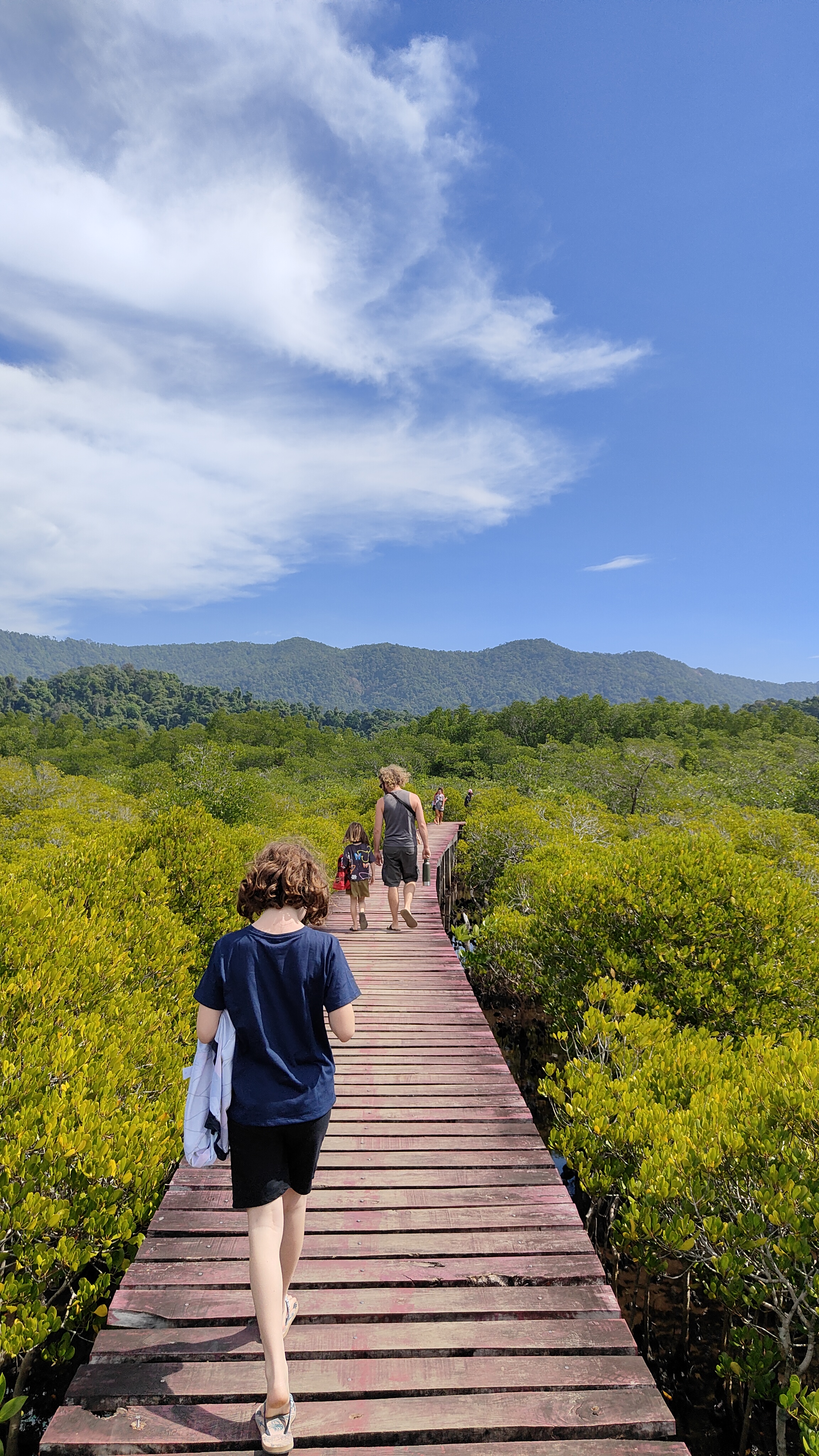 forêt de mangrove Baan Na Nai