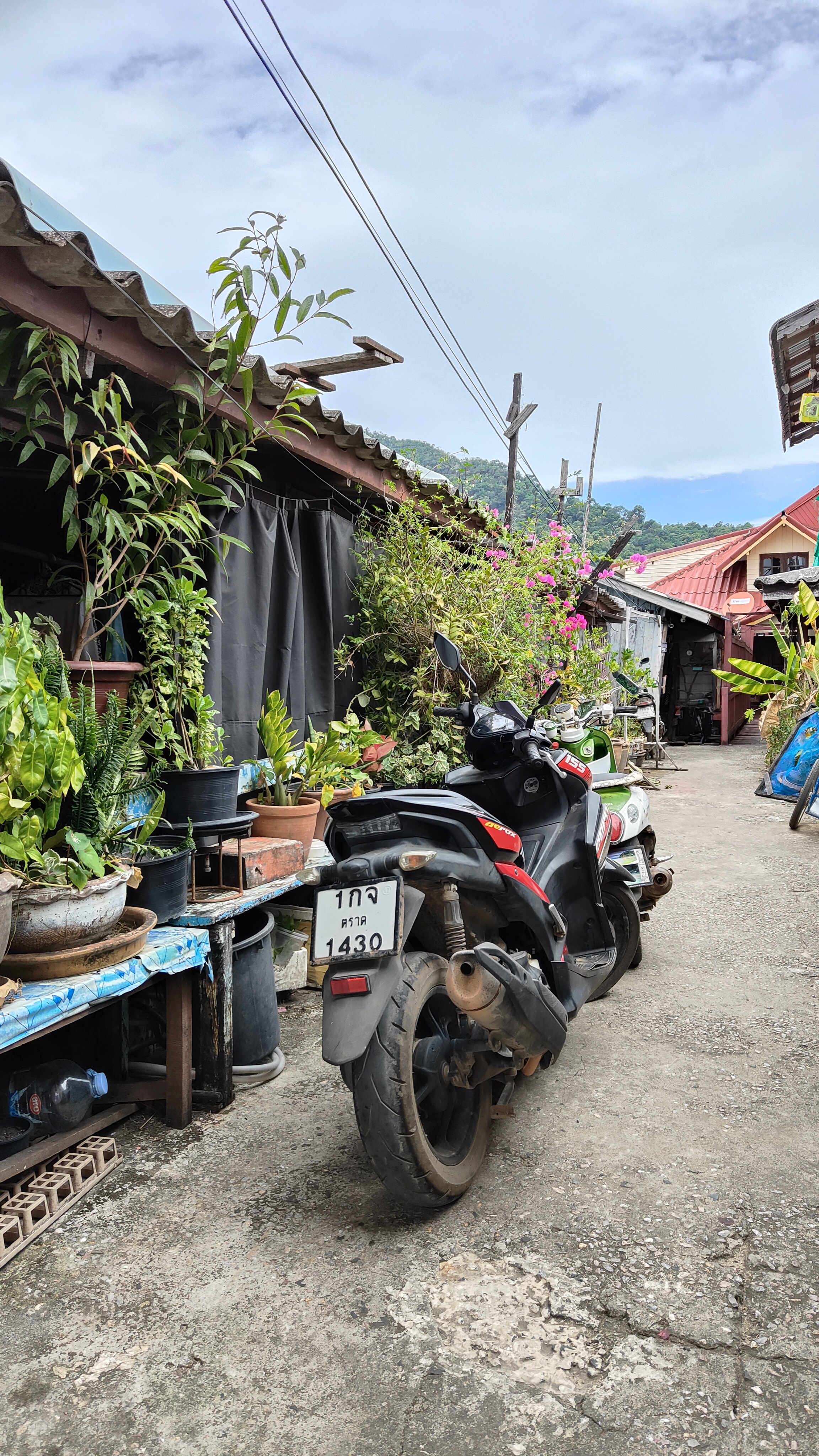 Bang Bao