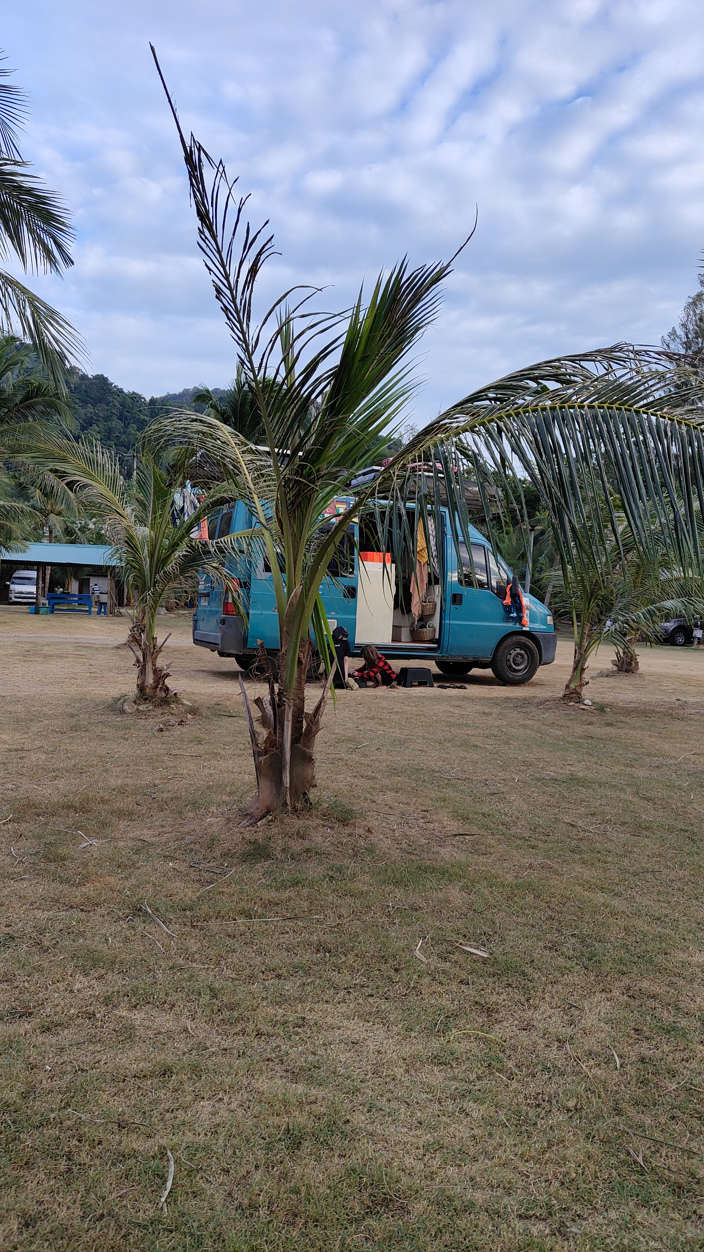 Camp site