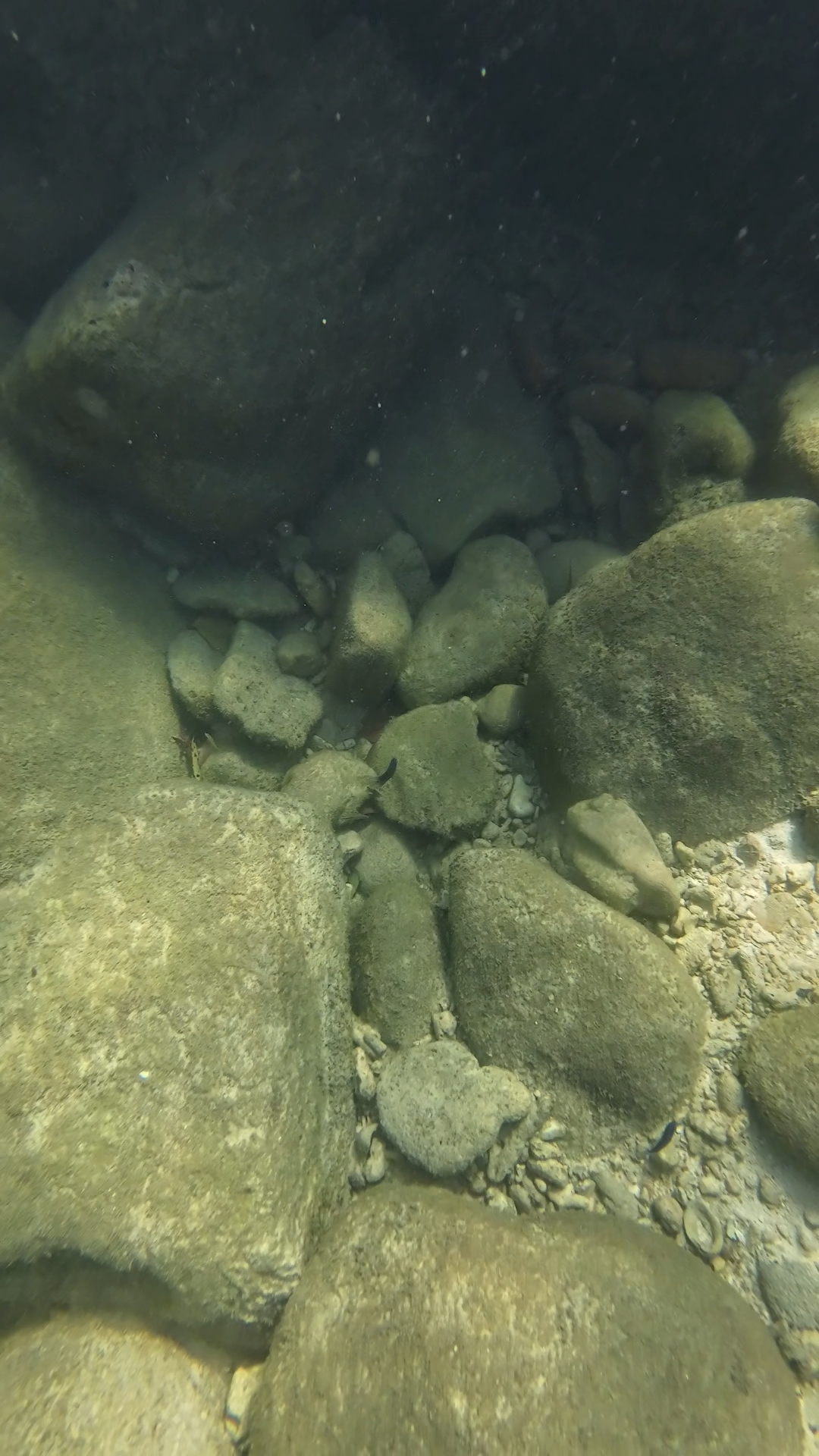 snorkeling