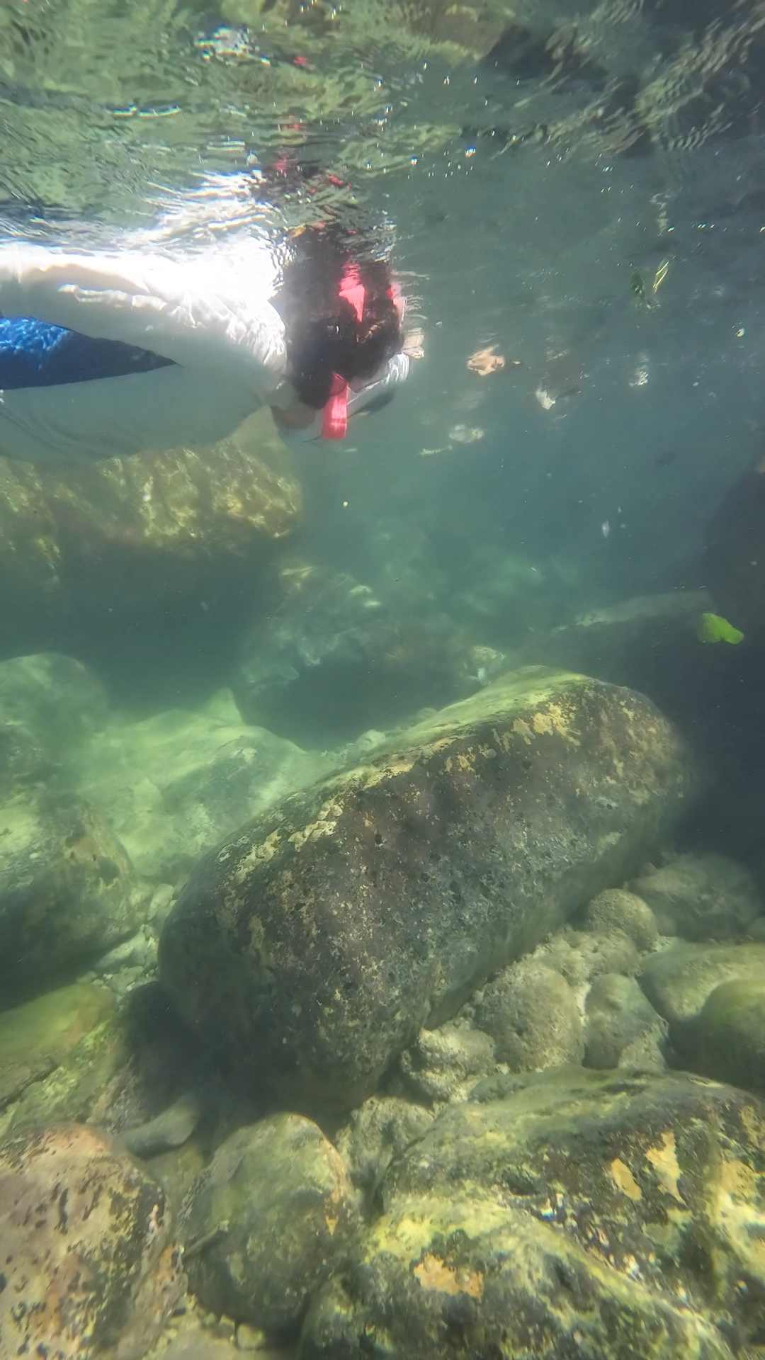 snorkeling