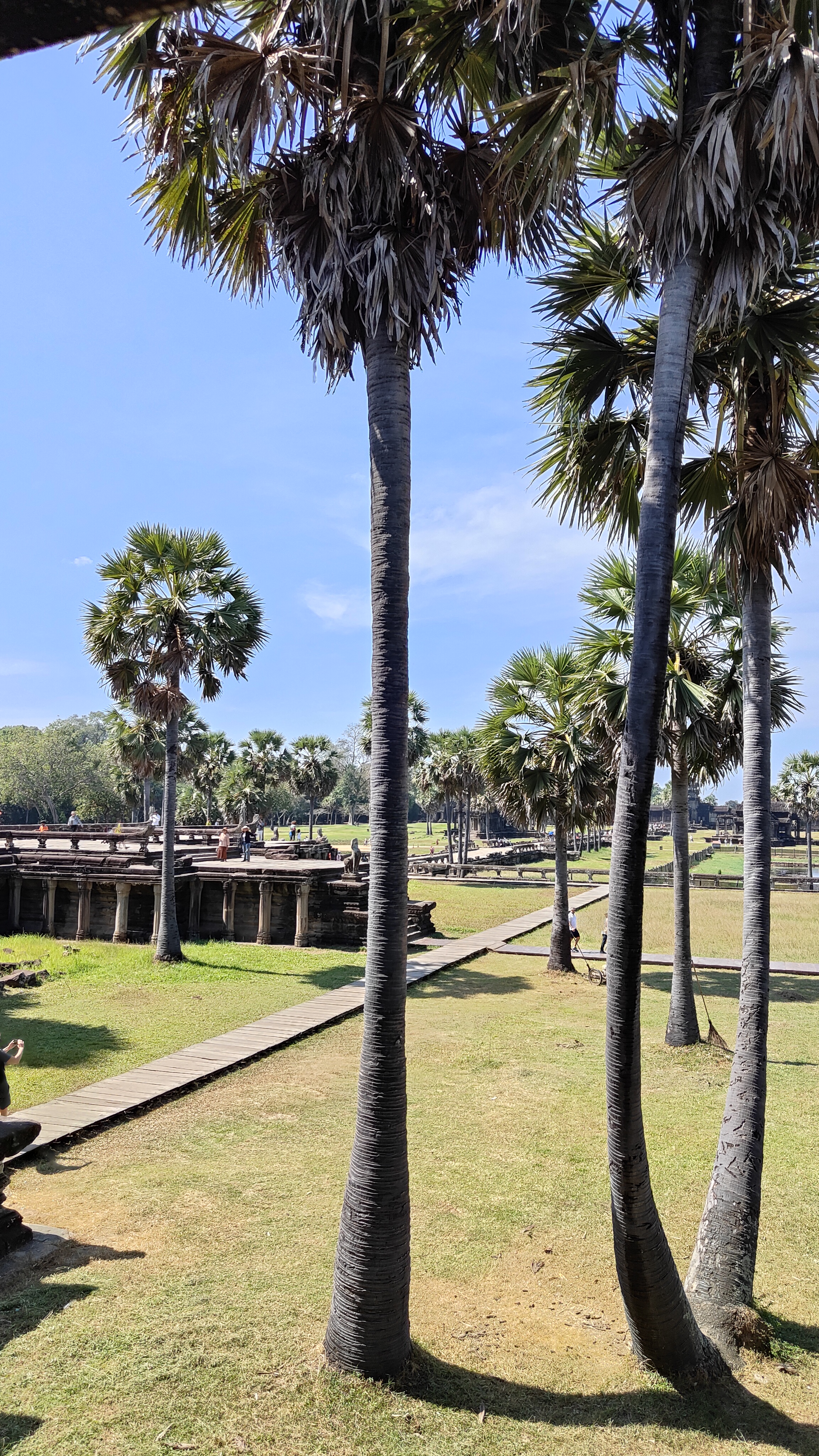 Angkor Wat