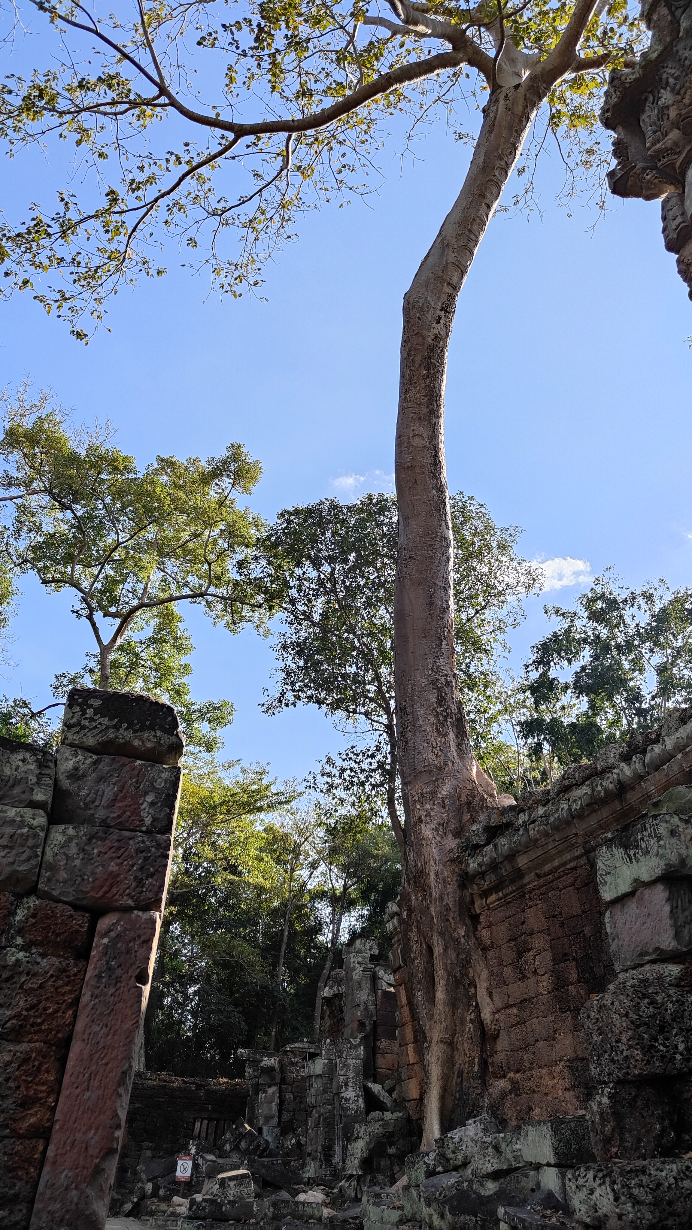 Preah Khan