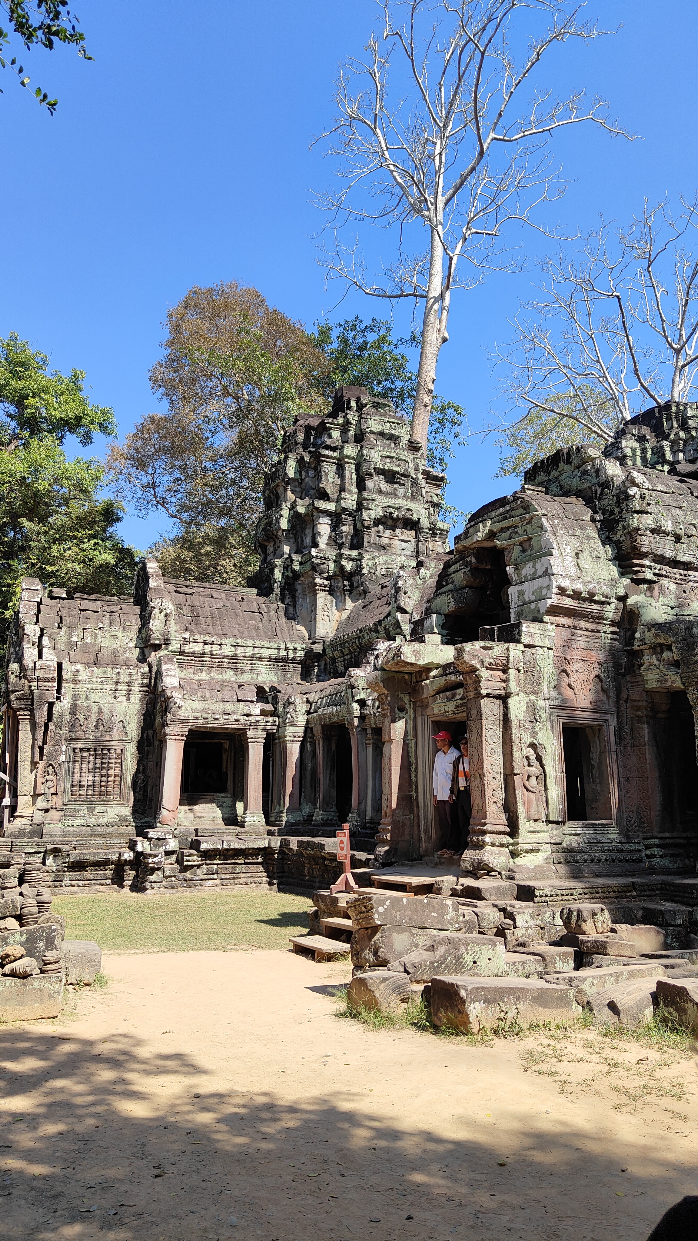 Ta prohm