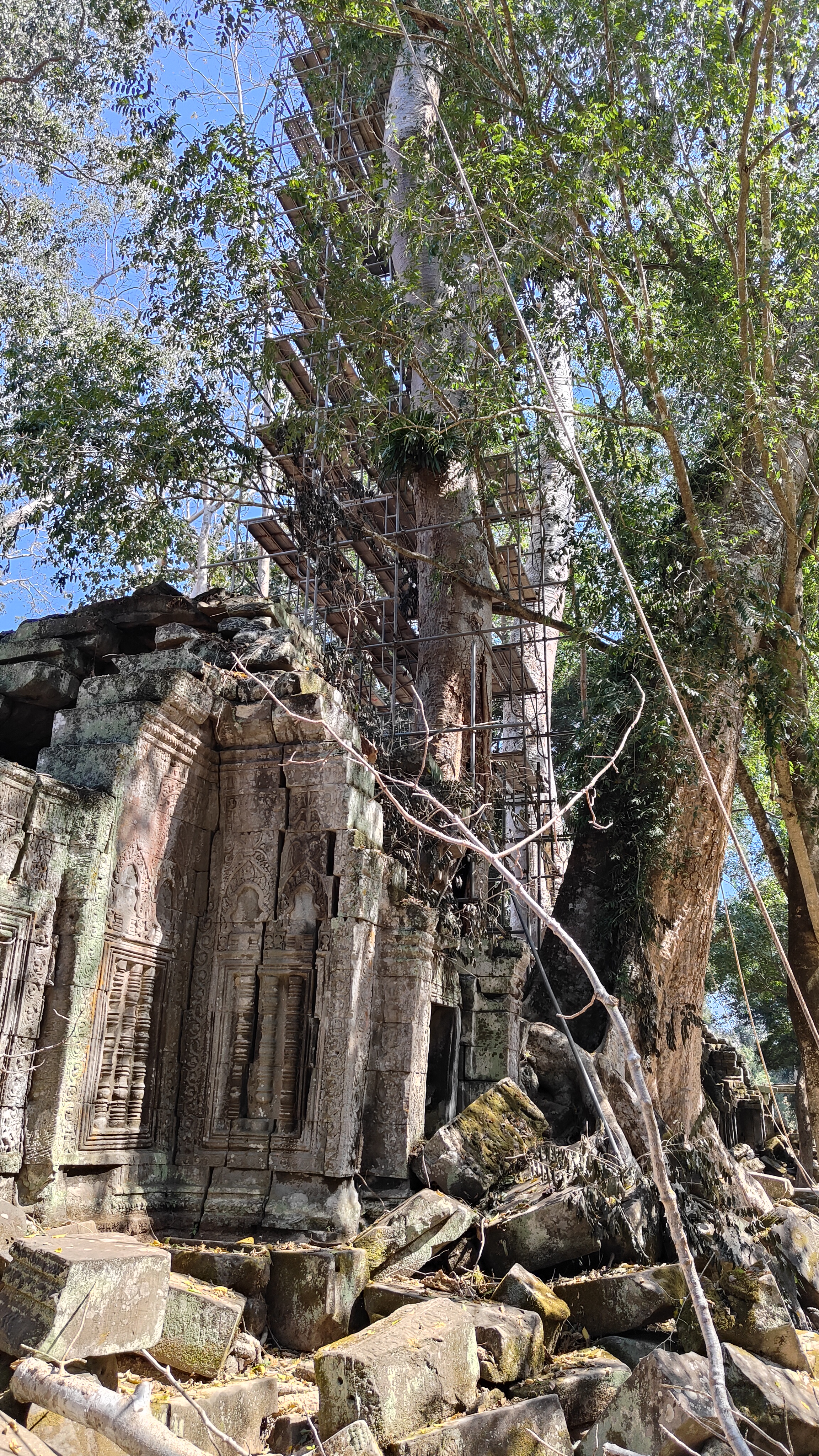 Ta prohm