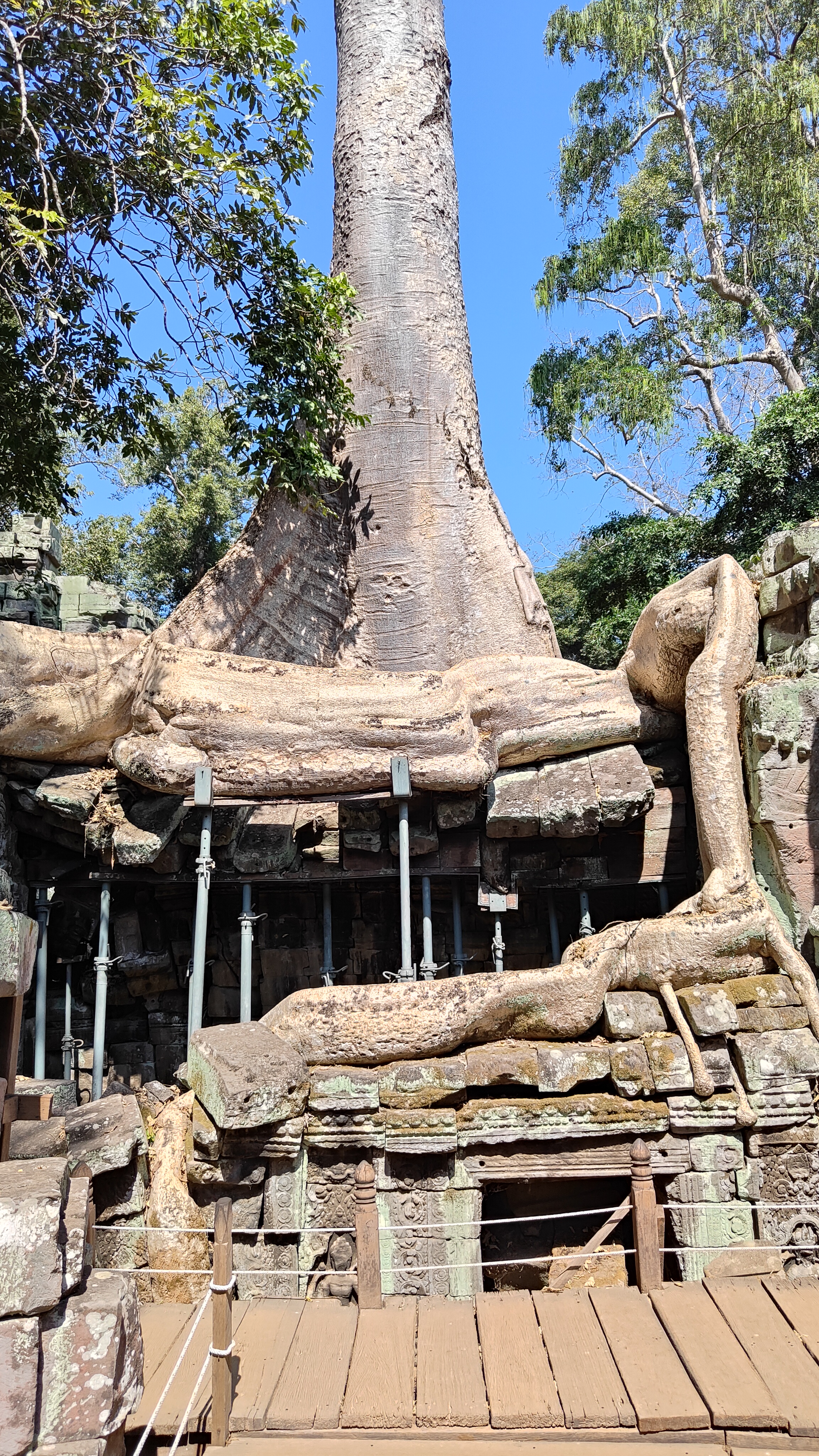 Ta prohm
