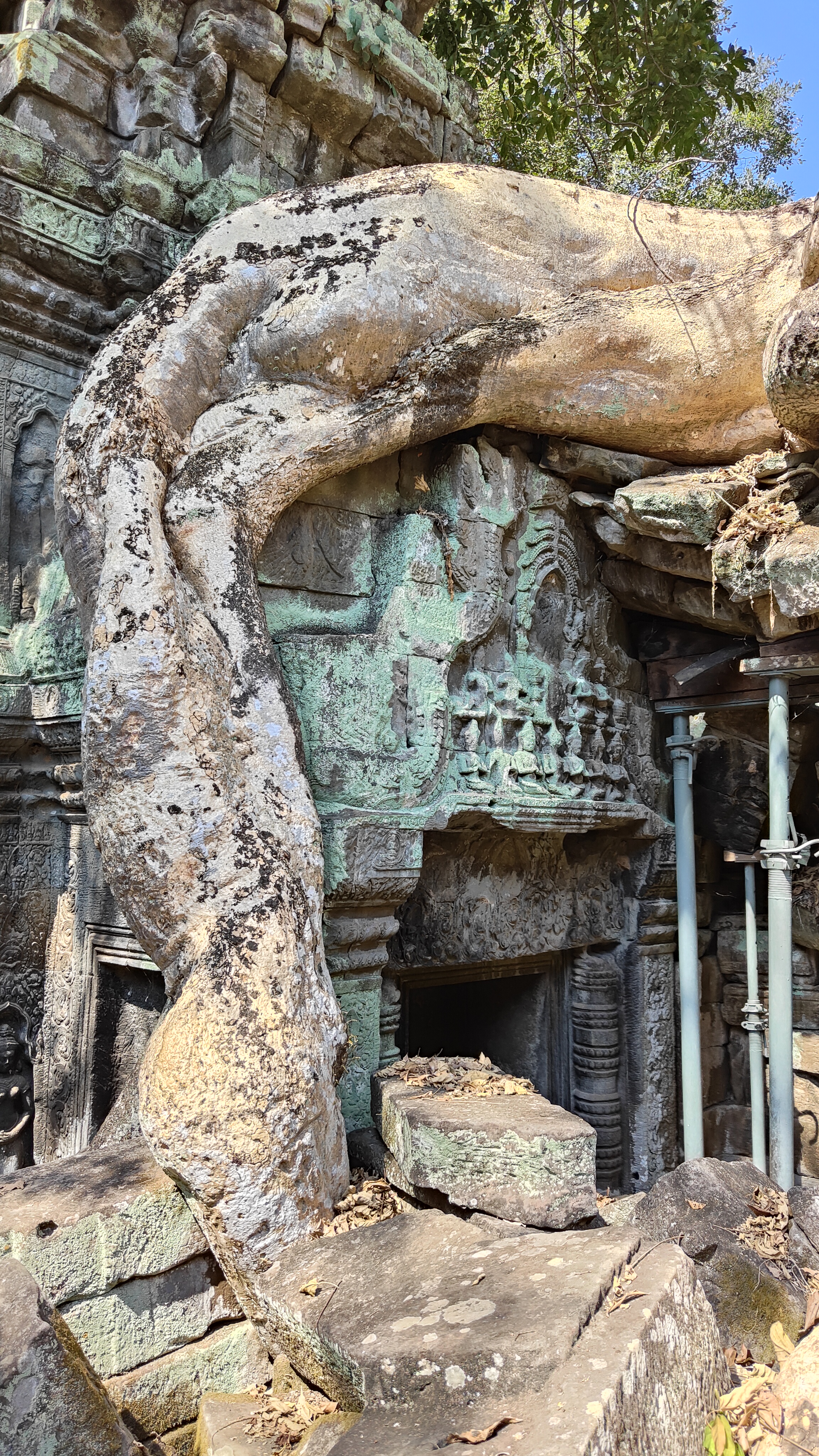 Ta prohm