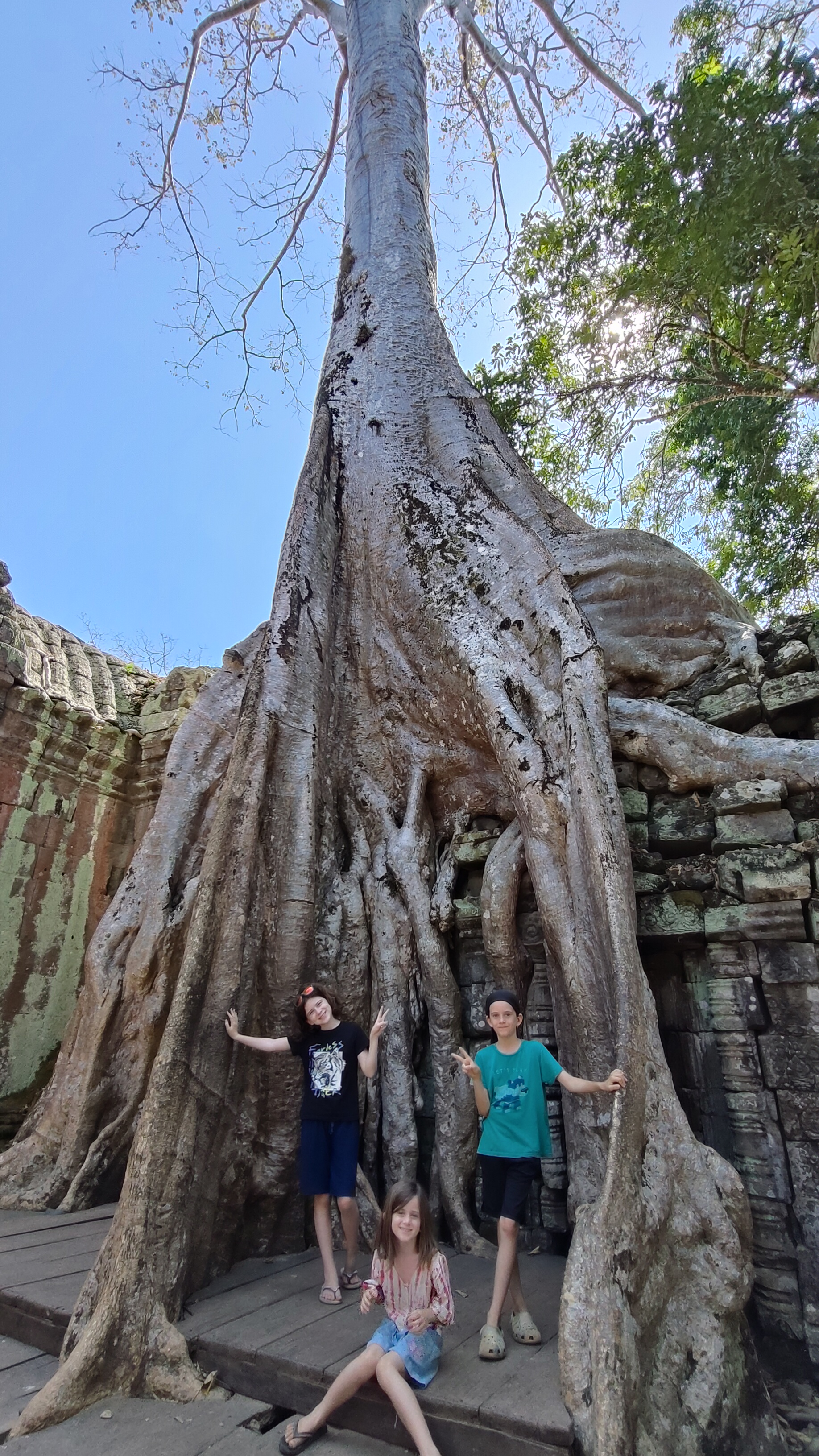 Ta prohm