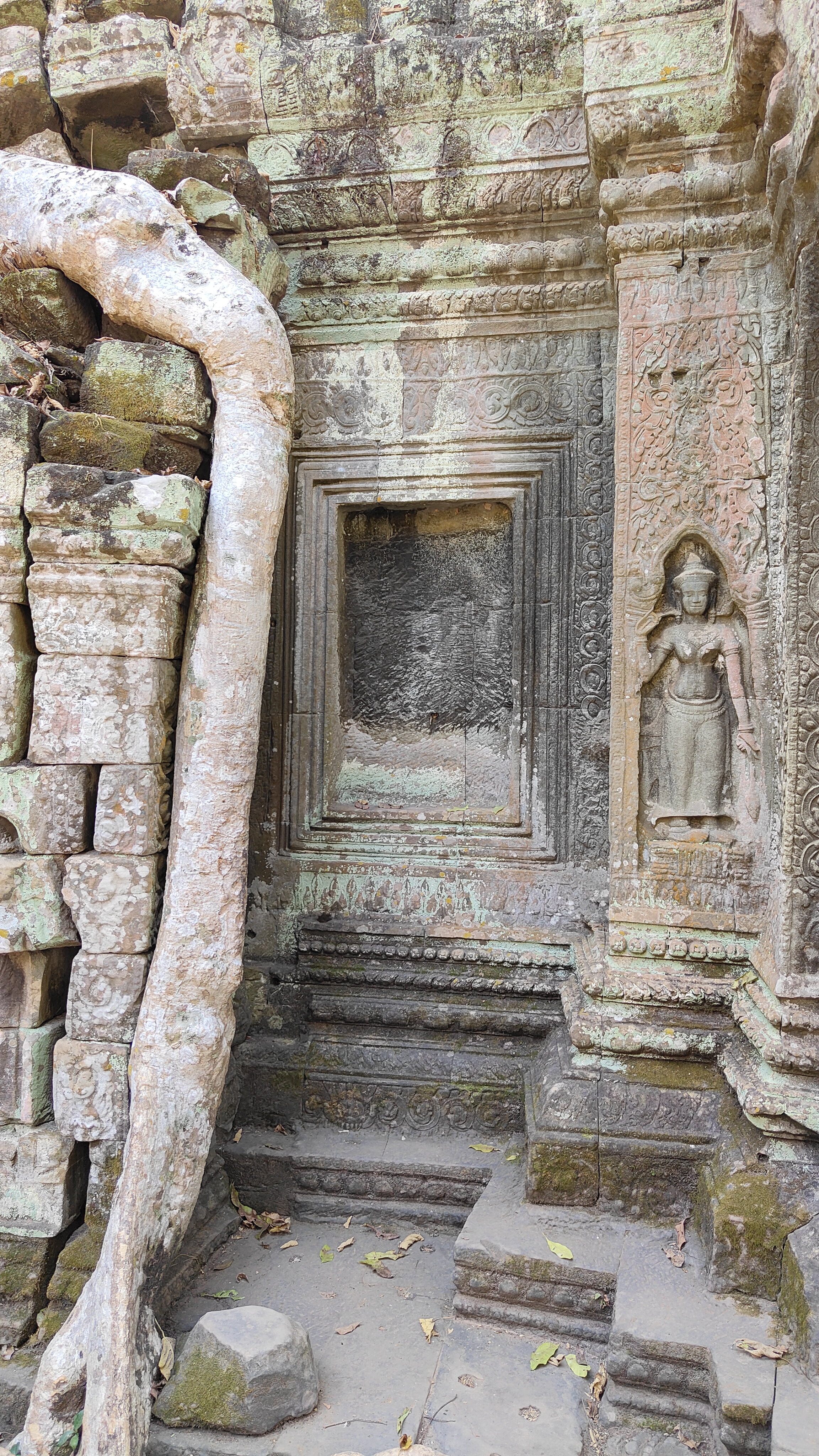 Ta prohm