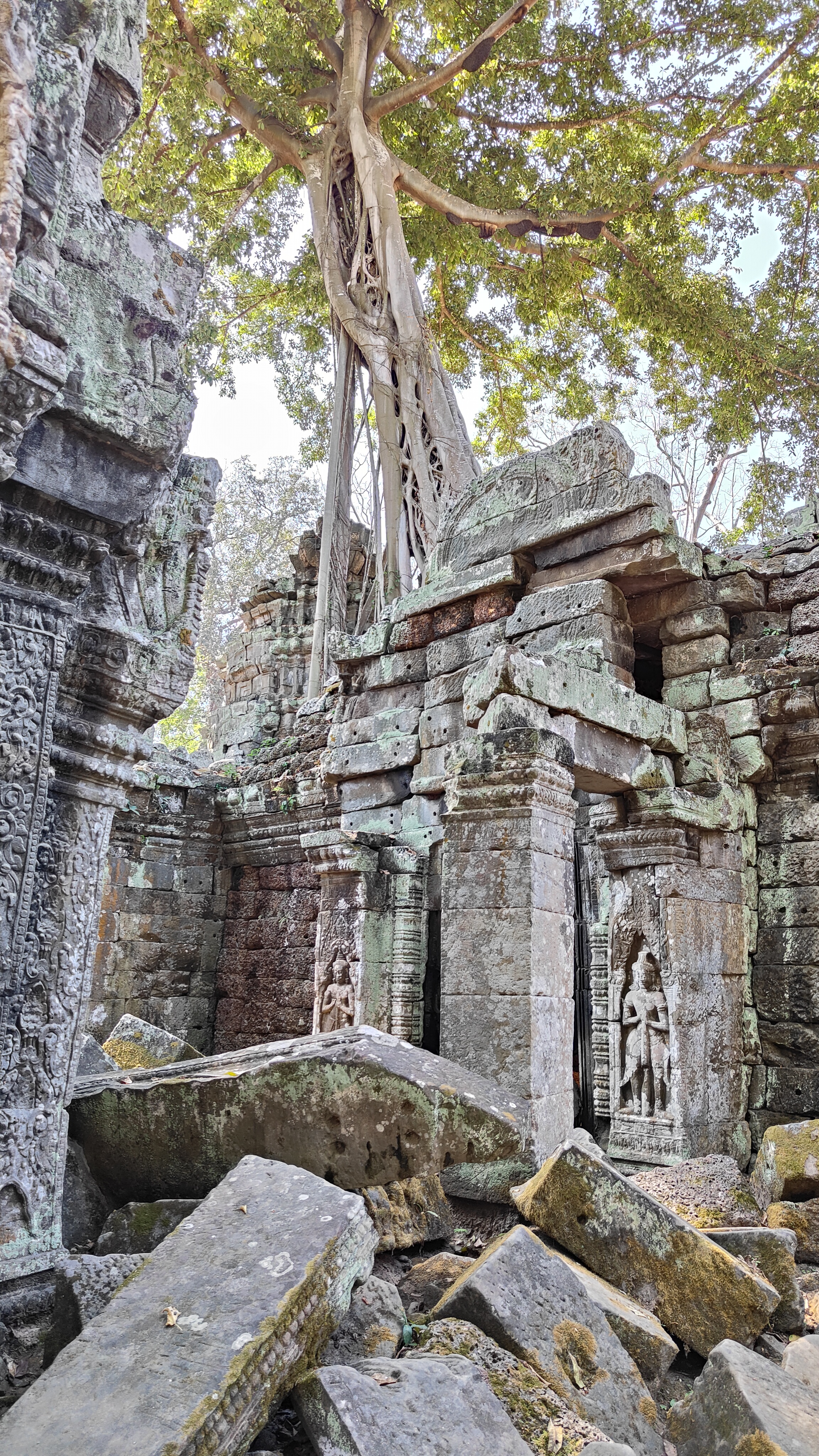 Ta prohm