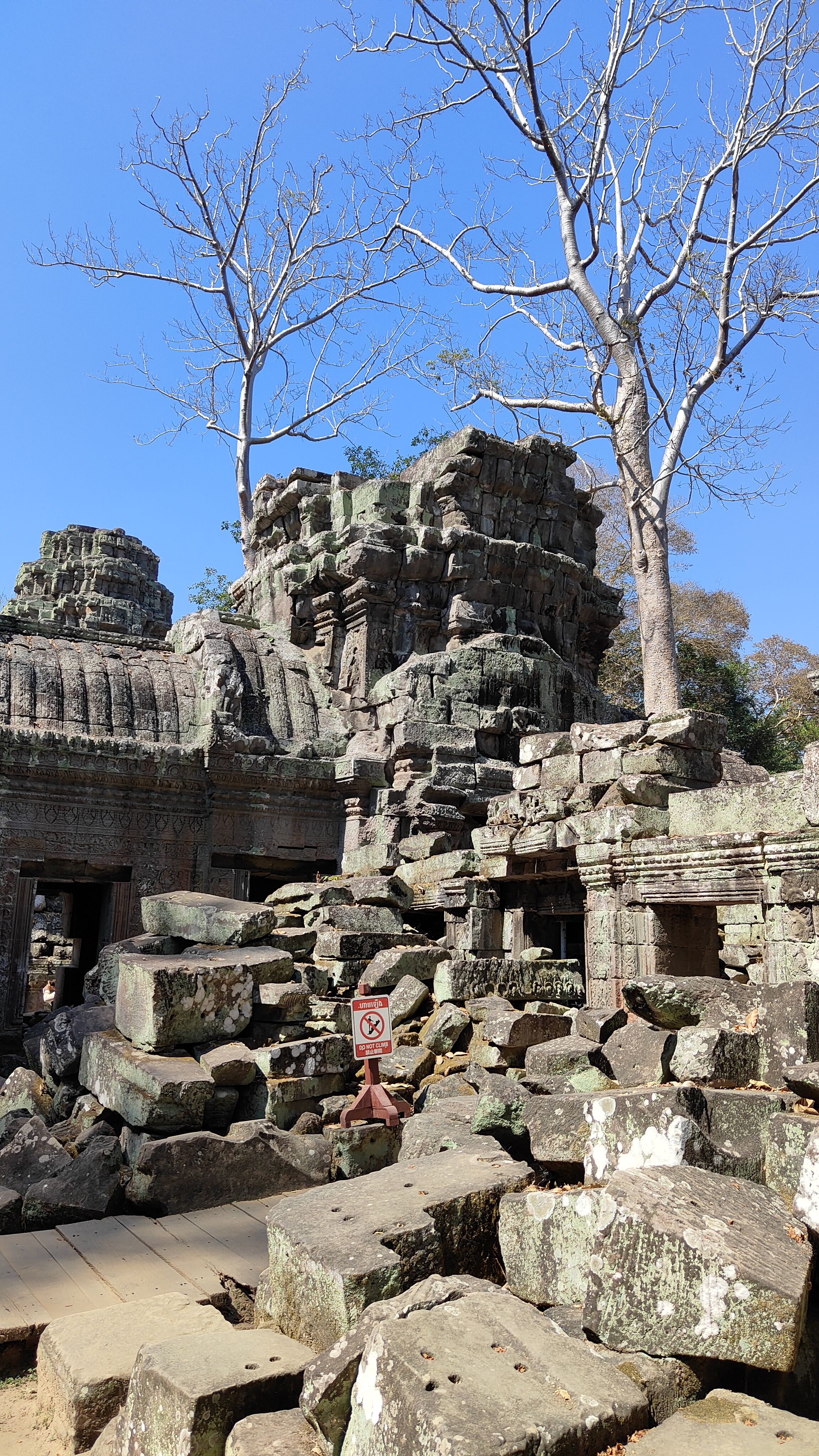Ta prohm